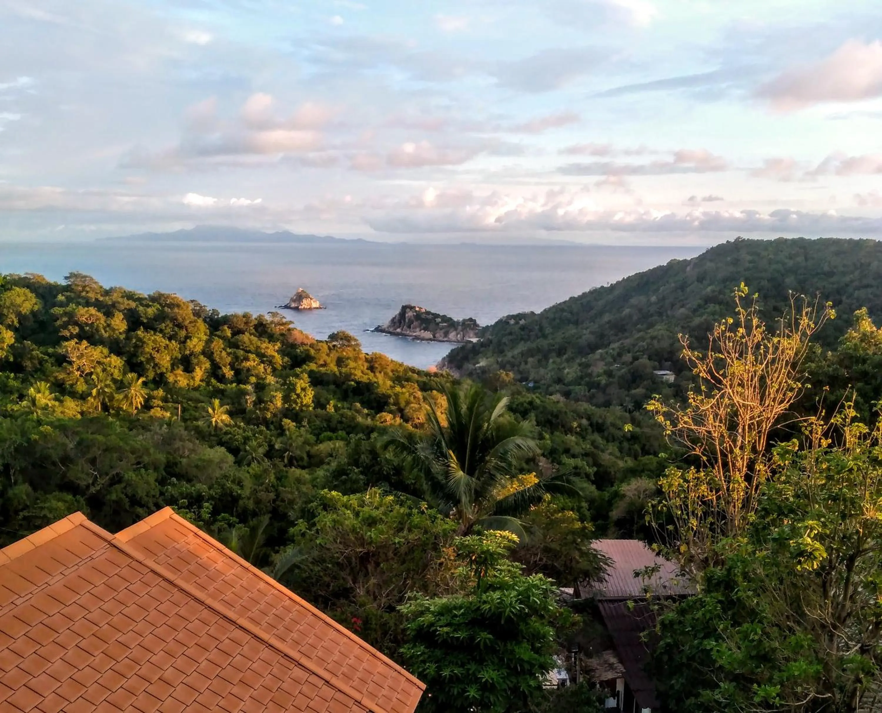 Natural landscape in Tree House Bungalows Koh Tao