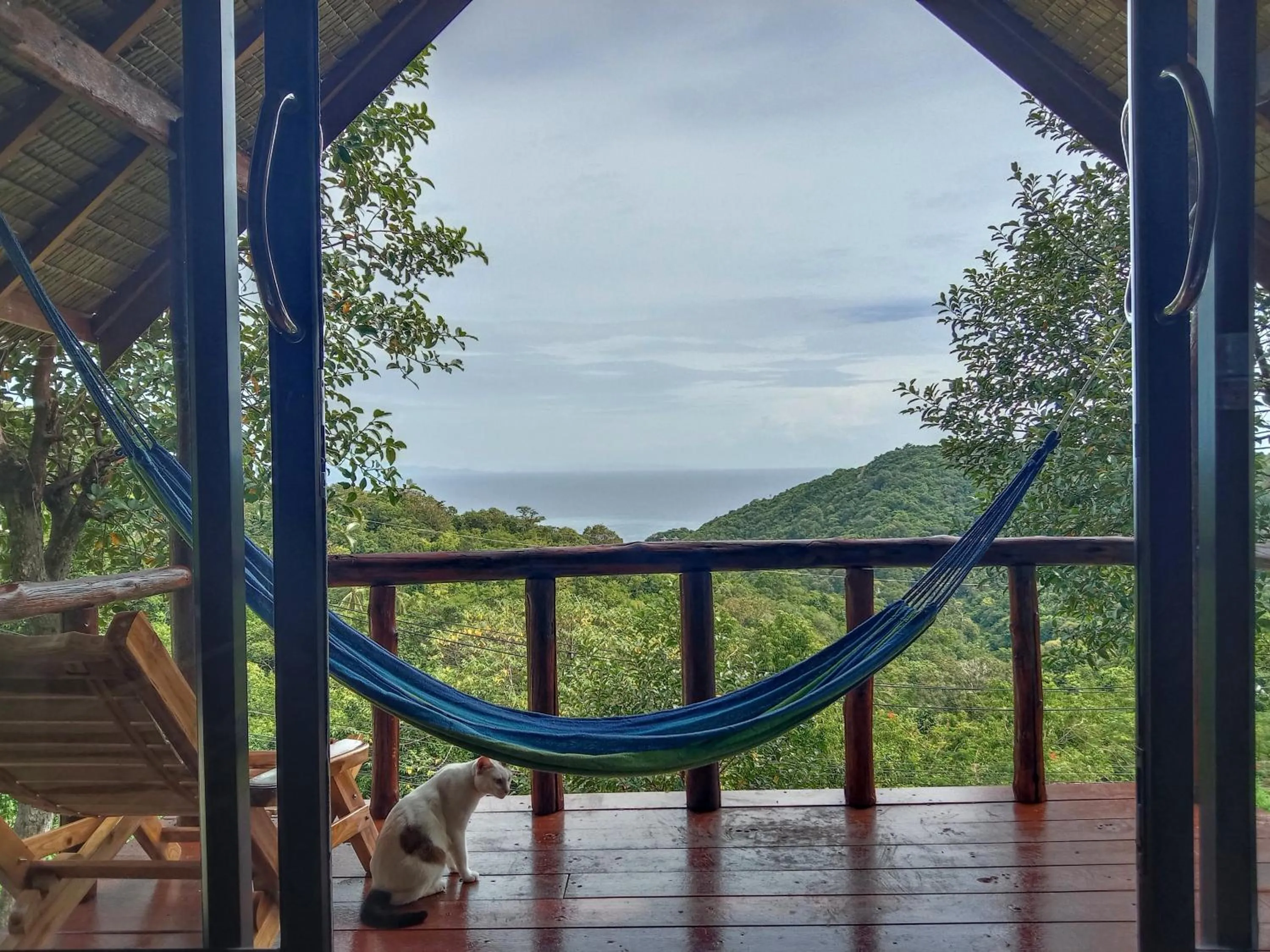 Balcony/Terrace in Tree House Bungalows Koh Tao