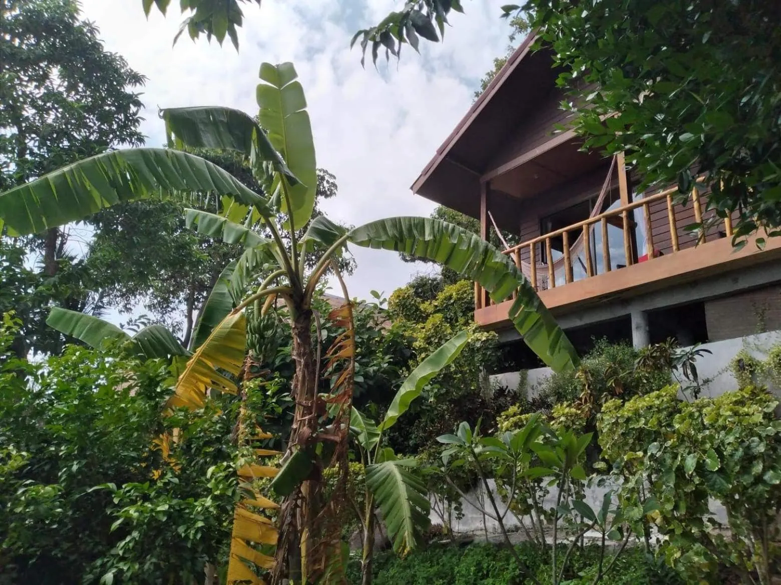 Garden in Tree House Bungalows Koh Tao