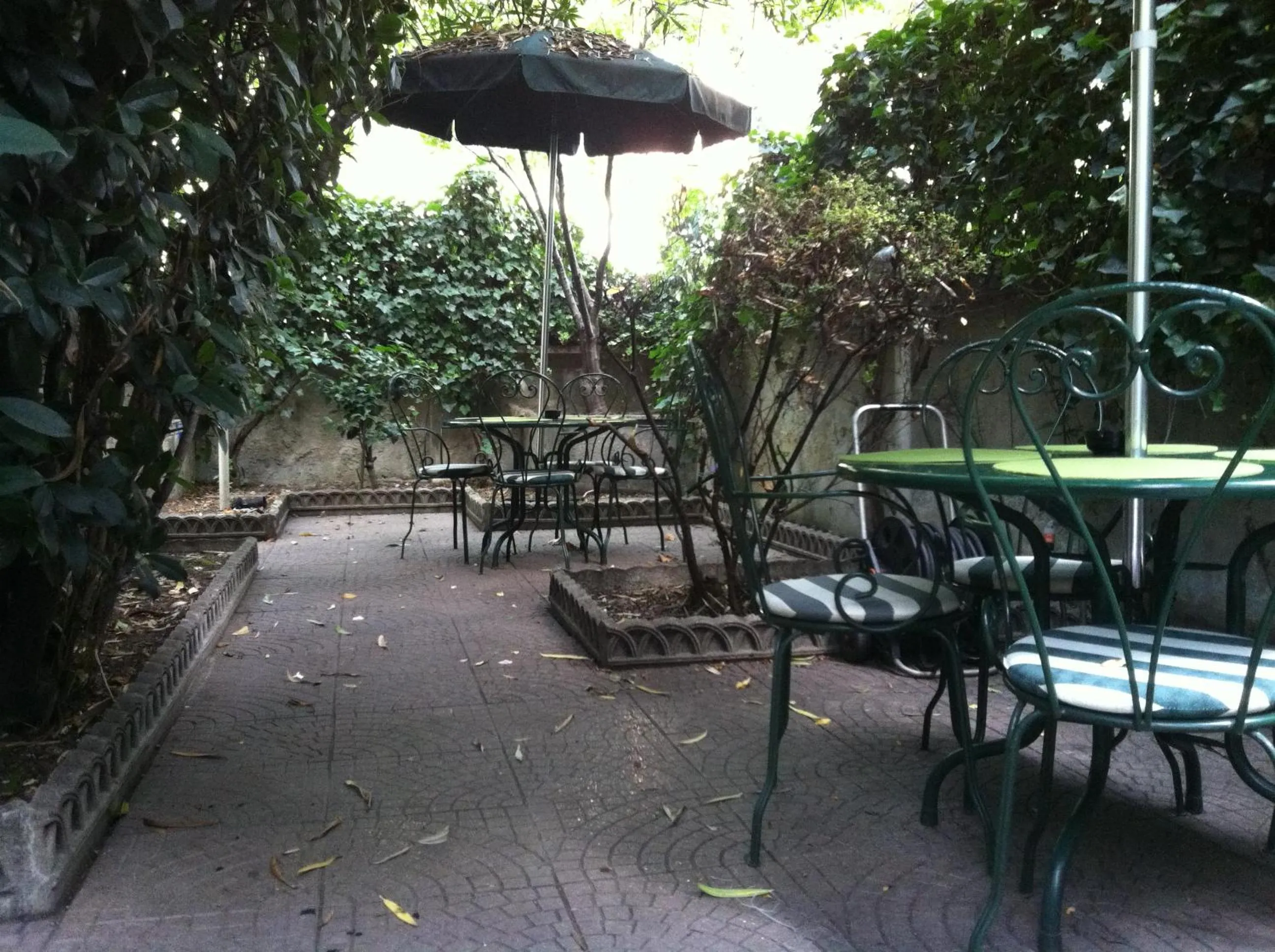 Garden in Hotel Aspromonte