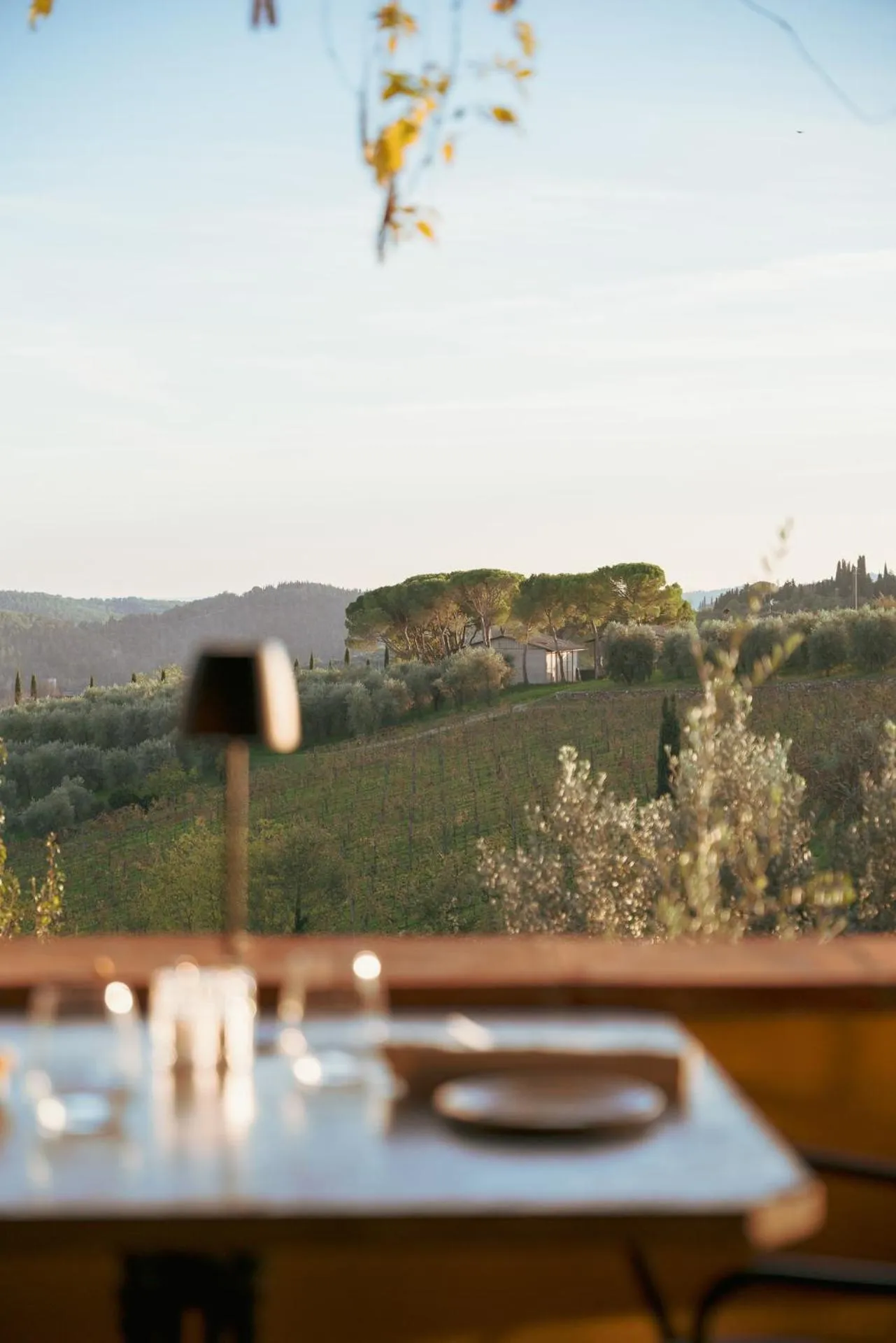 Restaurant/places to eat in Relais Vignale & Spa