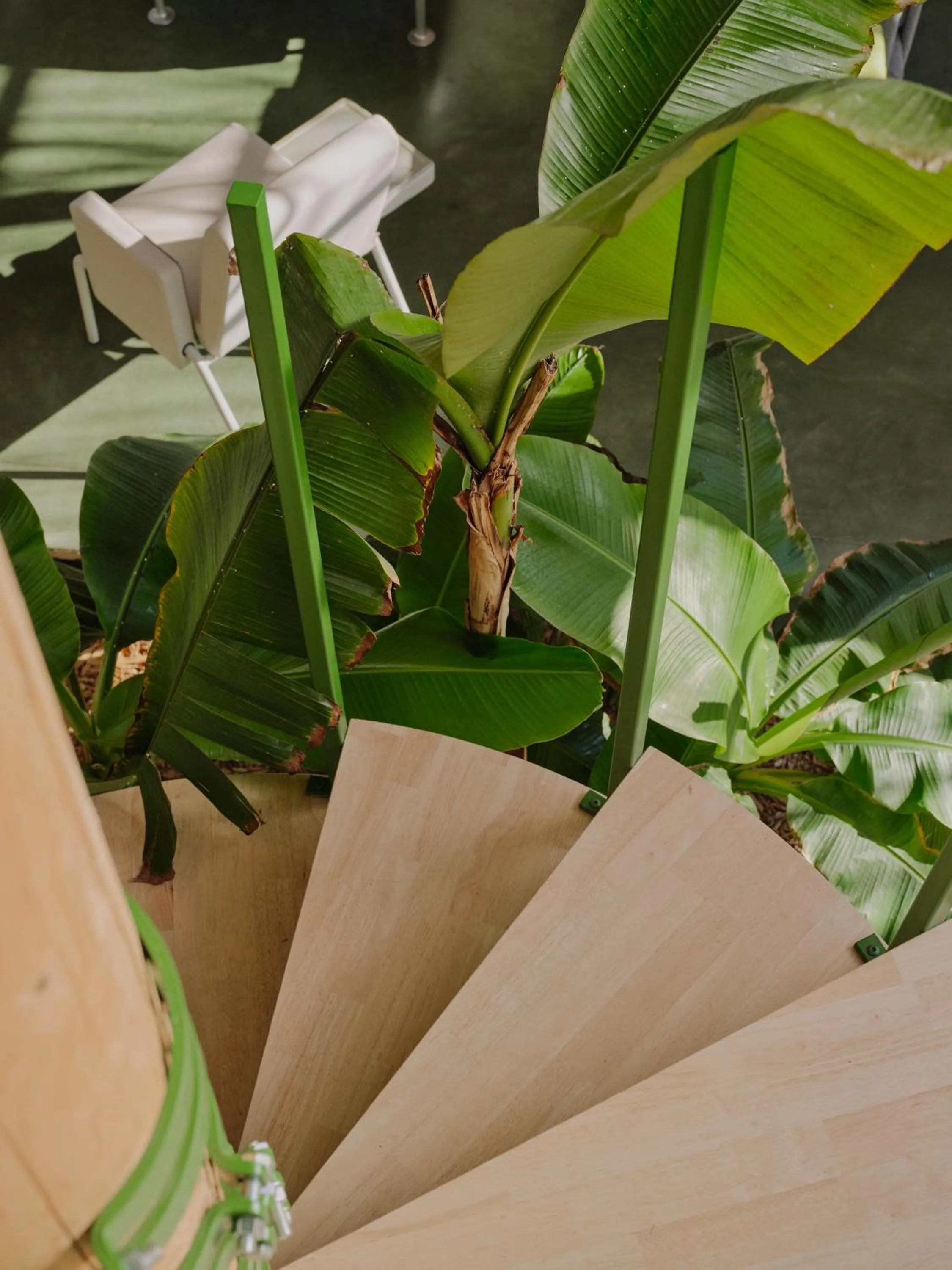 Decorative detail in Domaine La Ferme HI bride