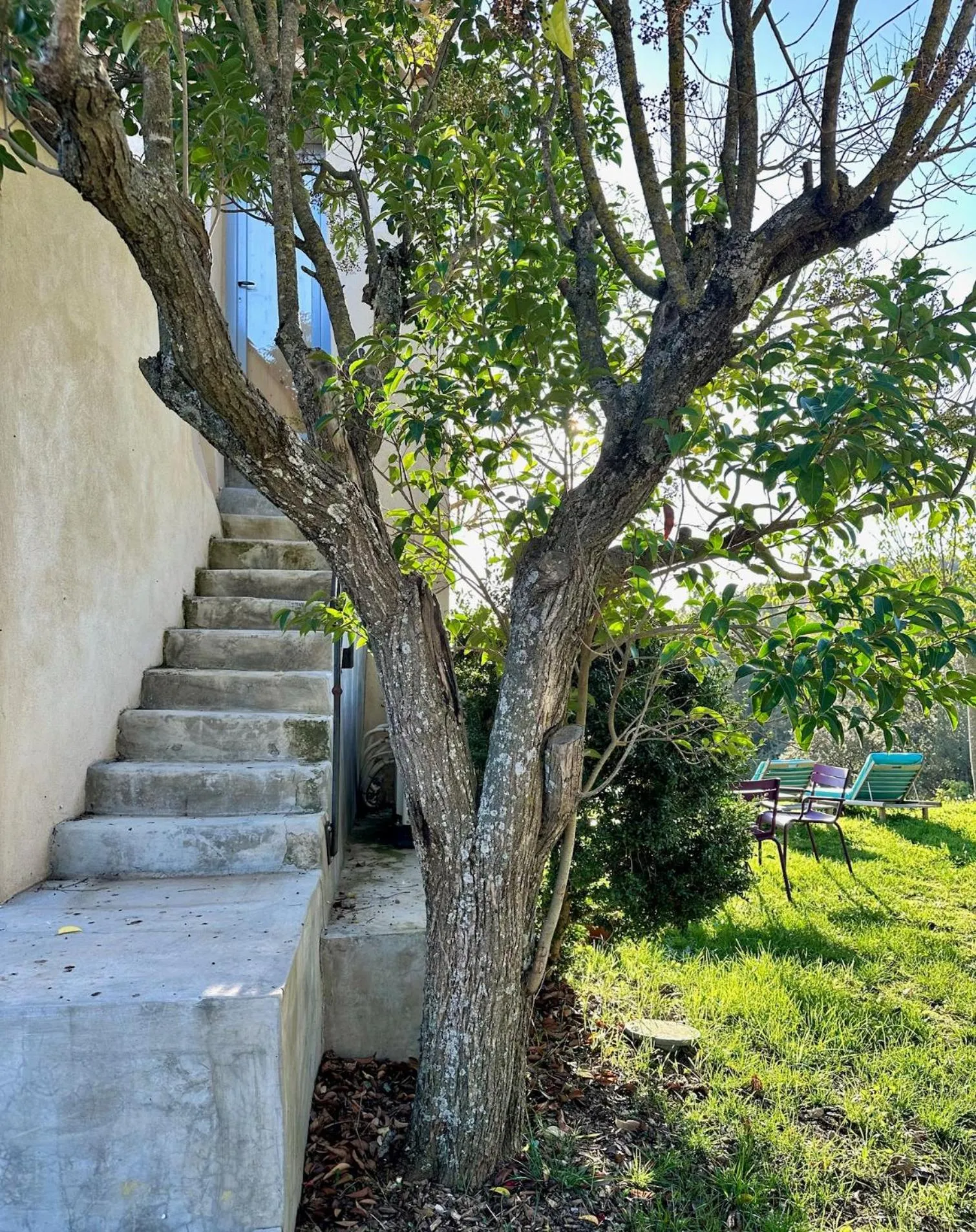 View (from property/room) in Domaine La Ferme HI bride
