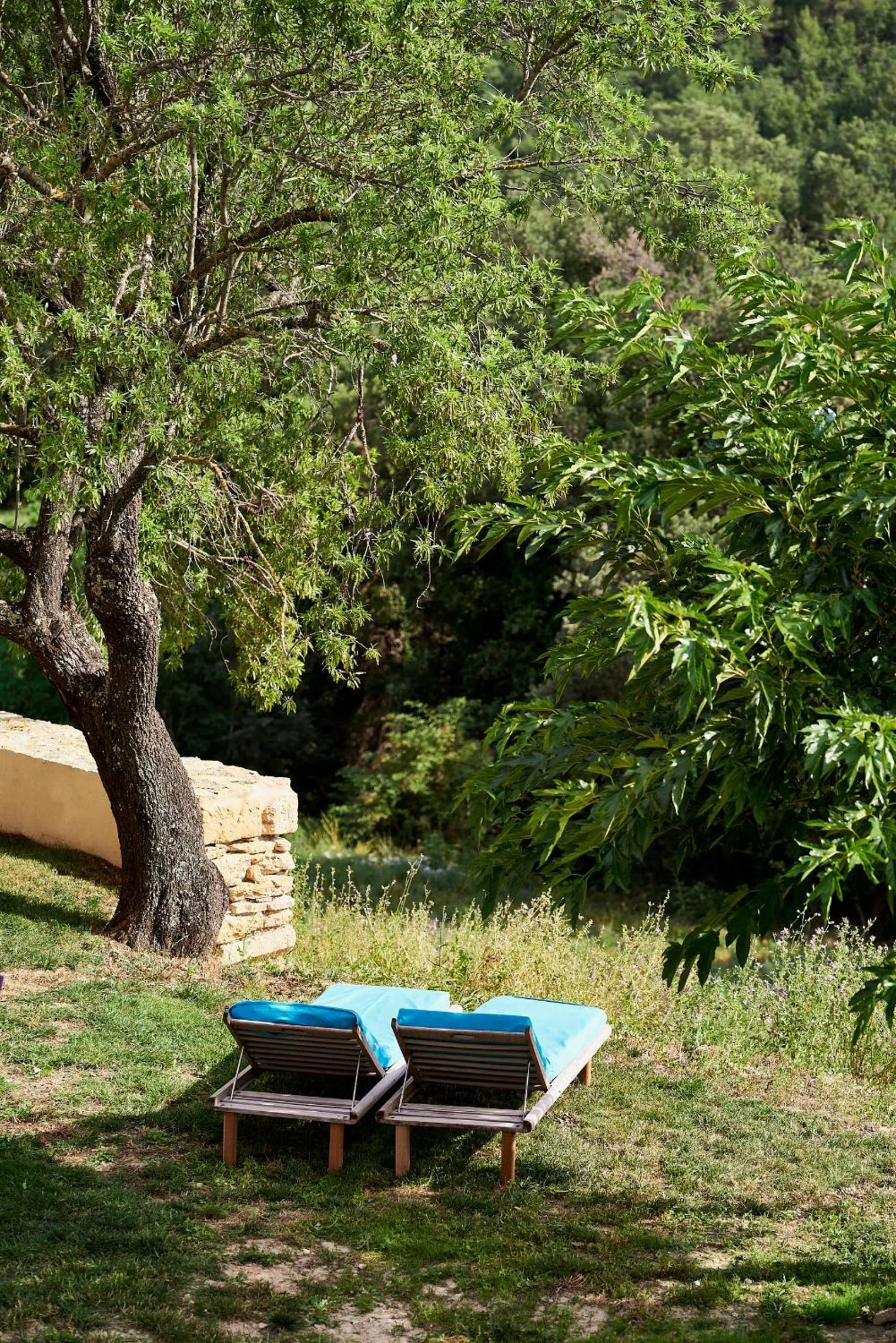 Garden in Domaine La Ferme HI bride