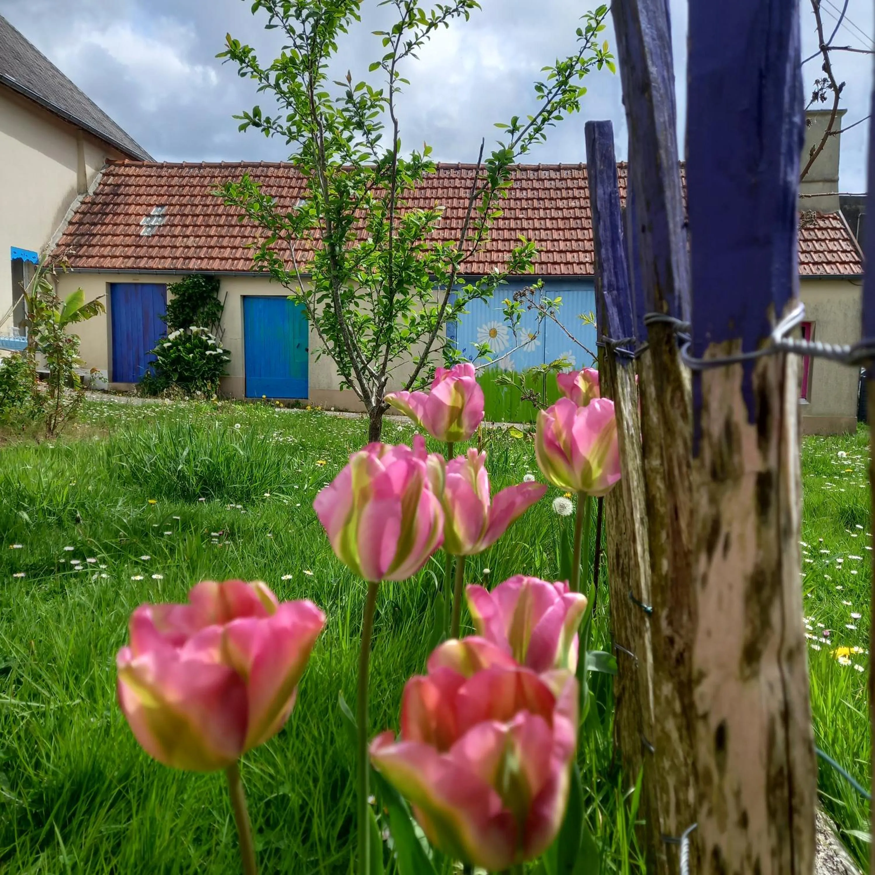 Chambres d'Hôtes Couleurs d'Elvine