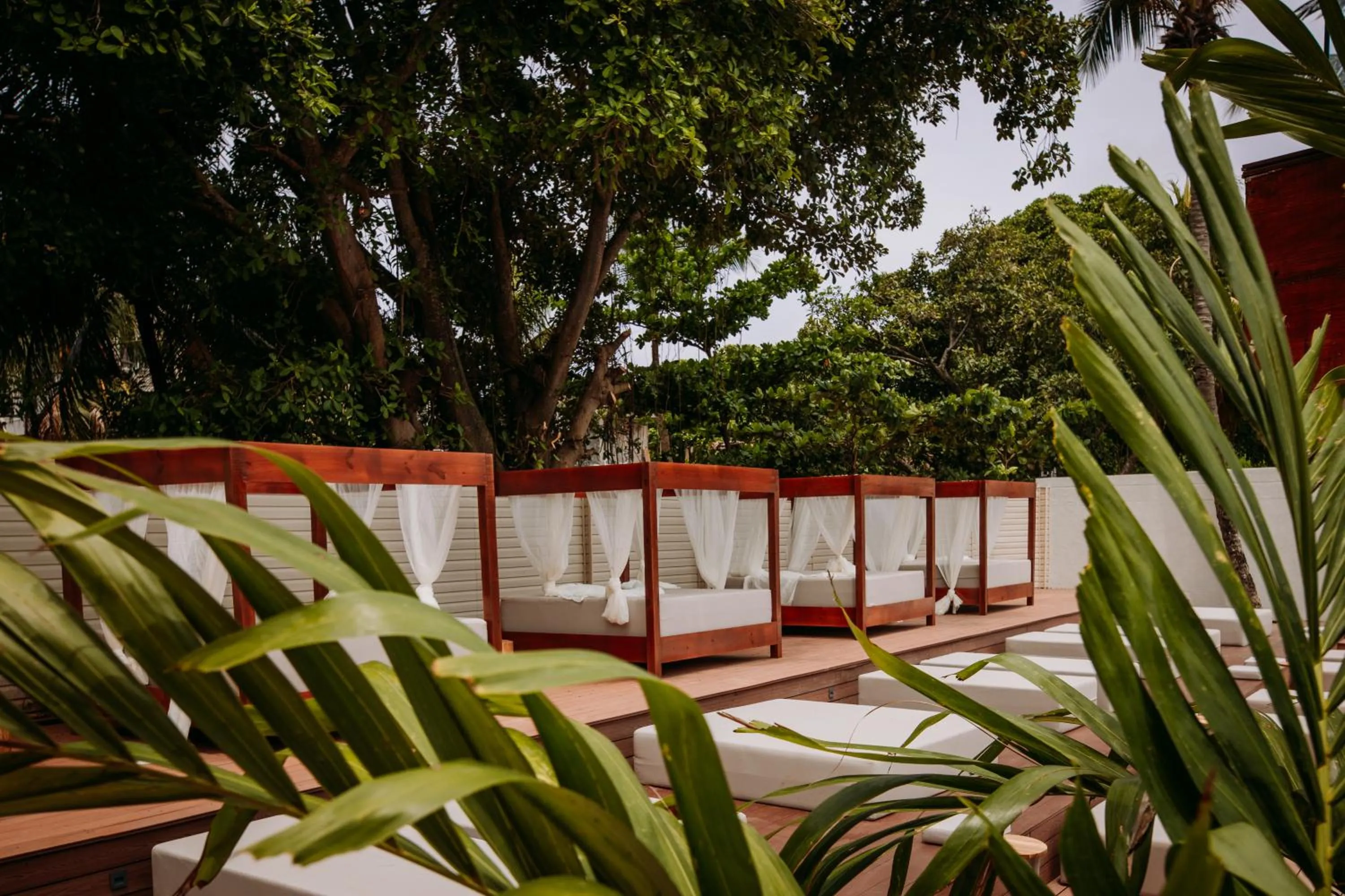 Garden in Dreamer Beach Club