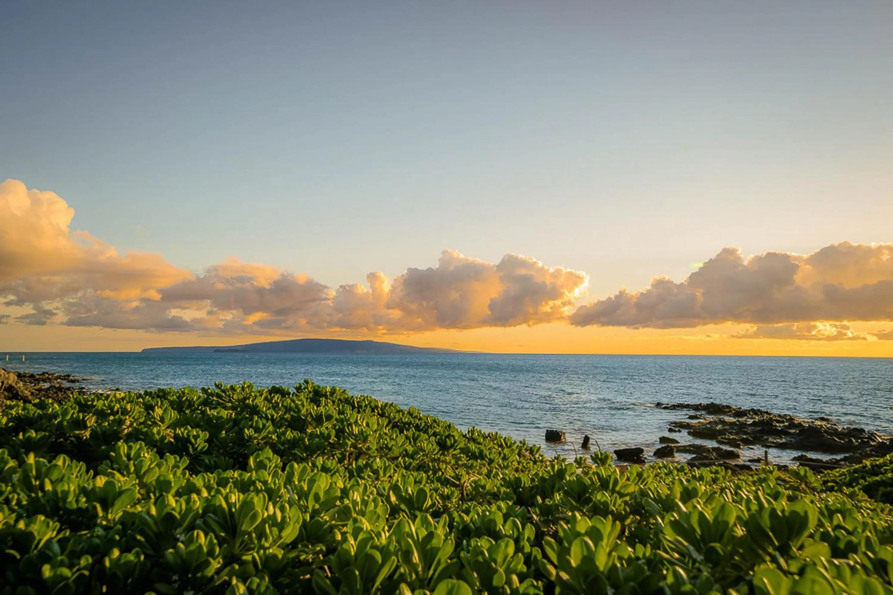 Property building in Island Surf 506