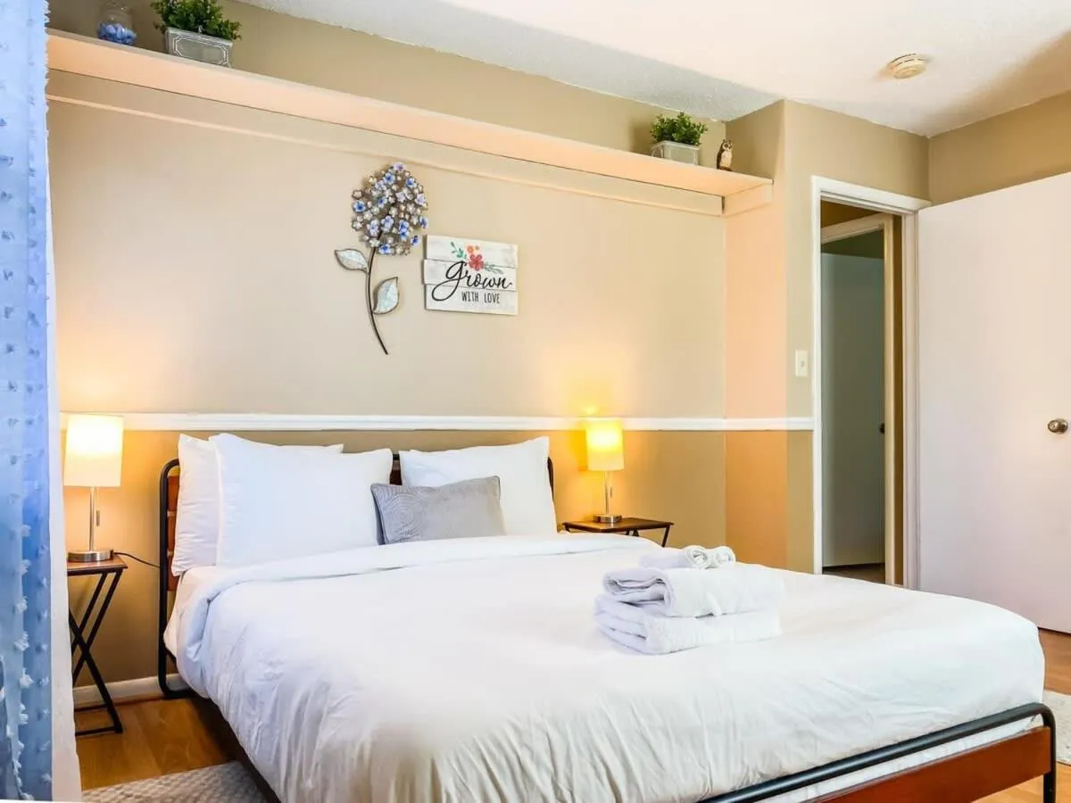 Bed in Near Space Center- Mahan Splashdown