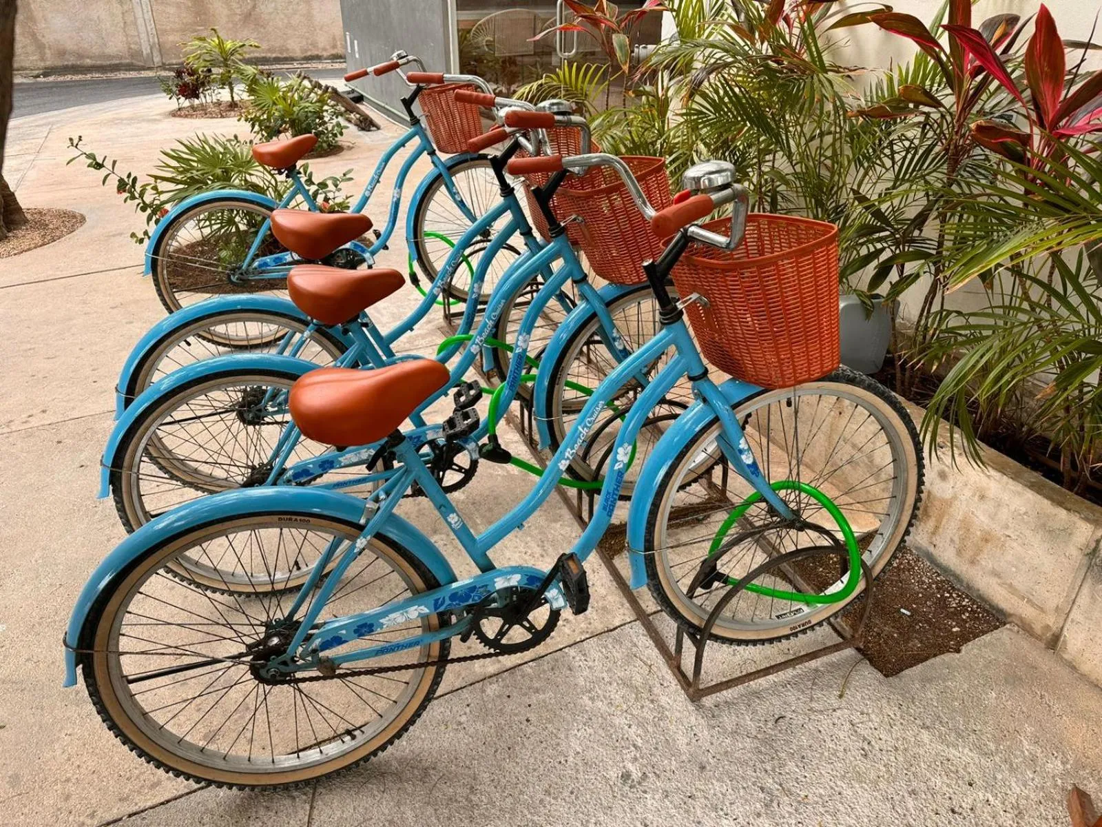 Activities in Siente Tulum Hotel & Cenote Club