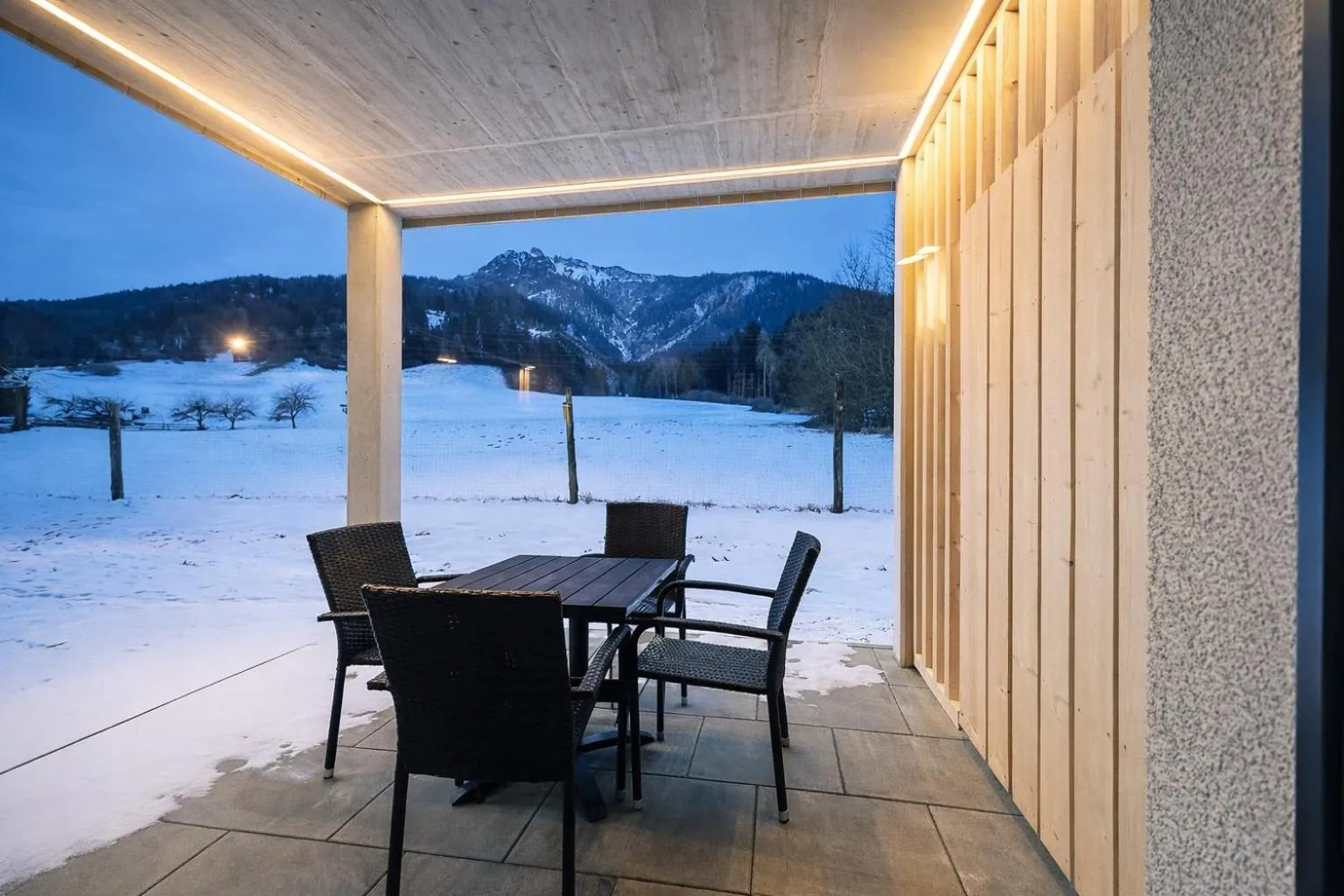 Patio in Da Alois - Alpine Premium Apartments