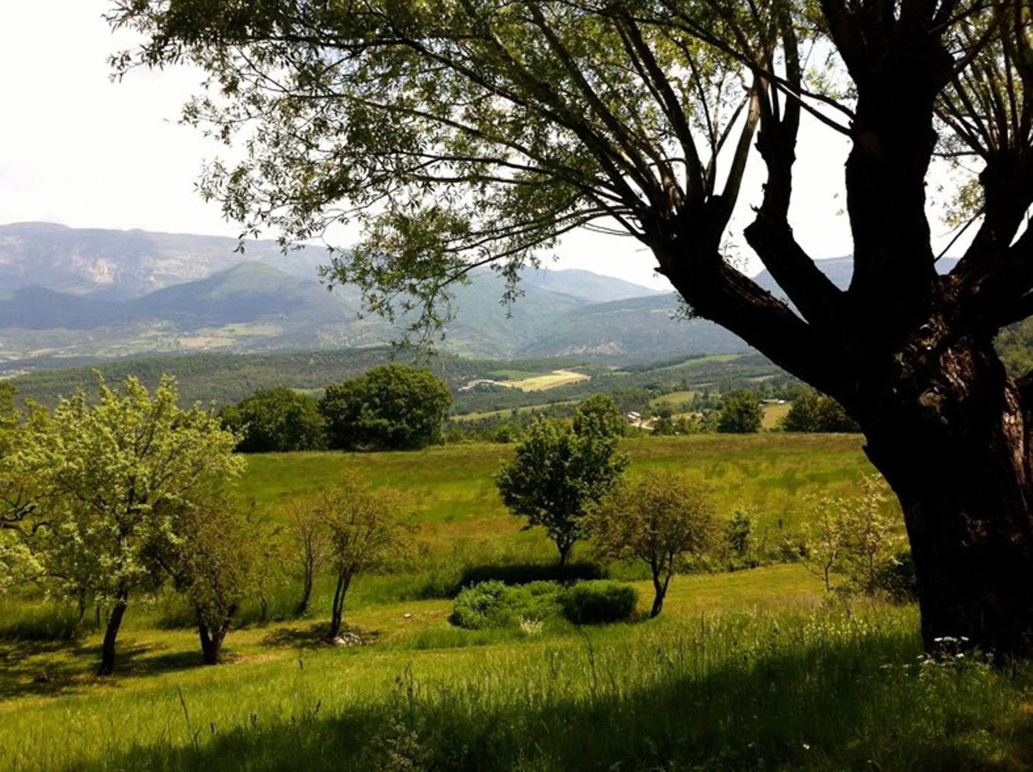 Natural landscape in Weekend en Provence