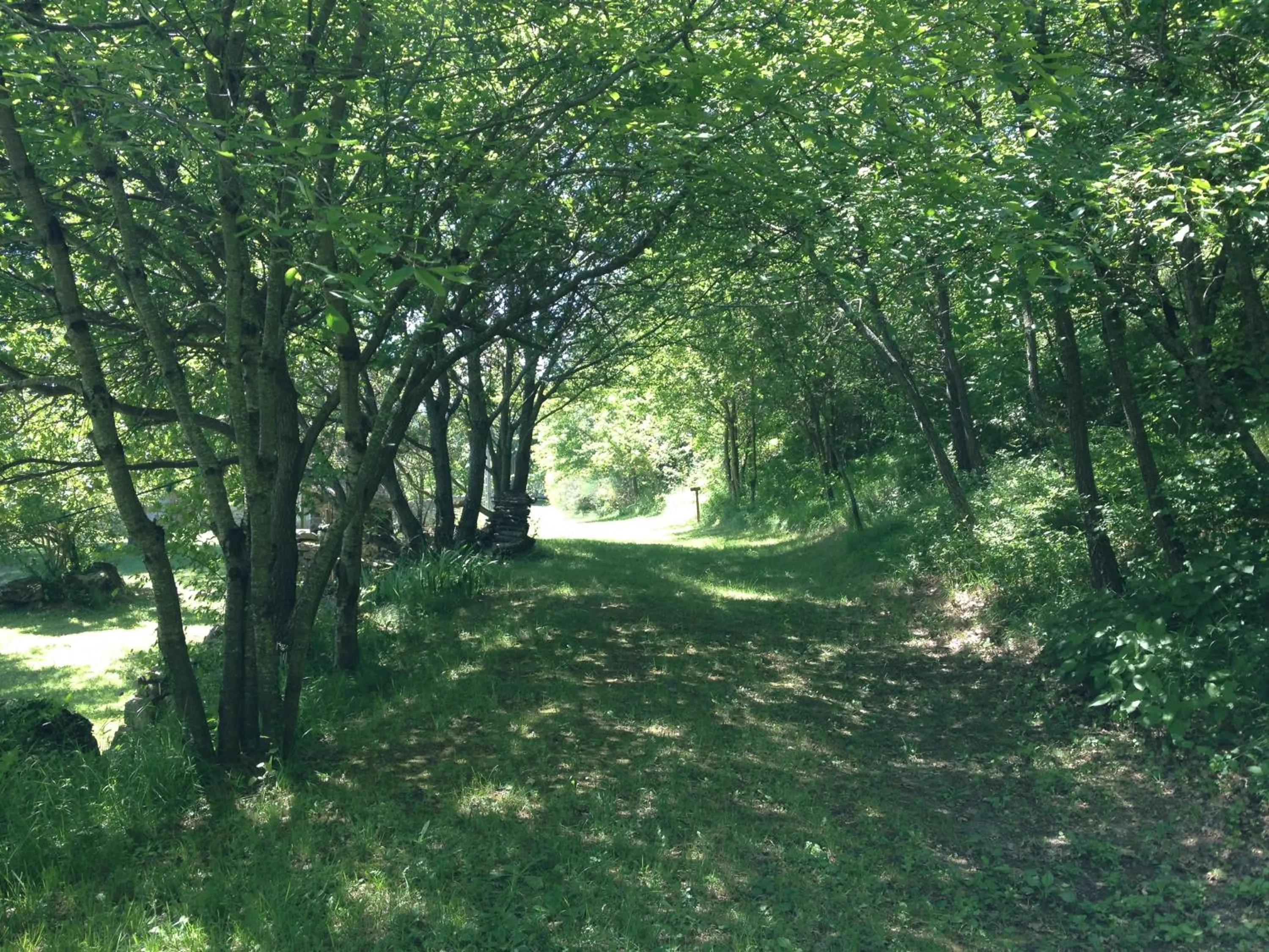 Garden view in Weekend en Provence