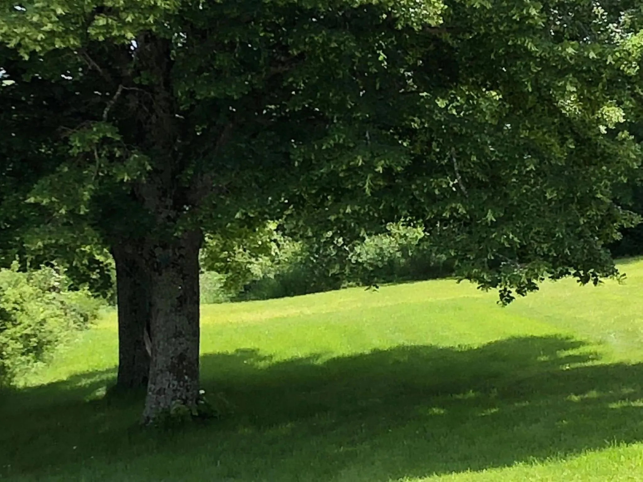 Garden in Weekend en Provence