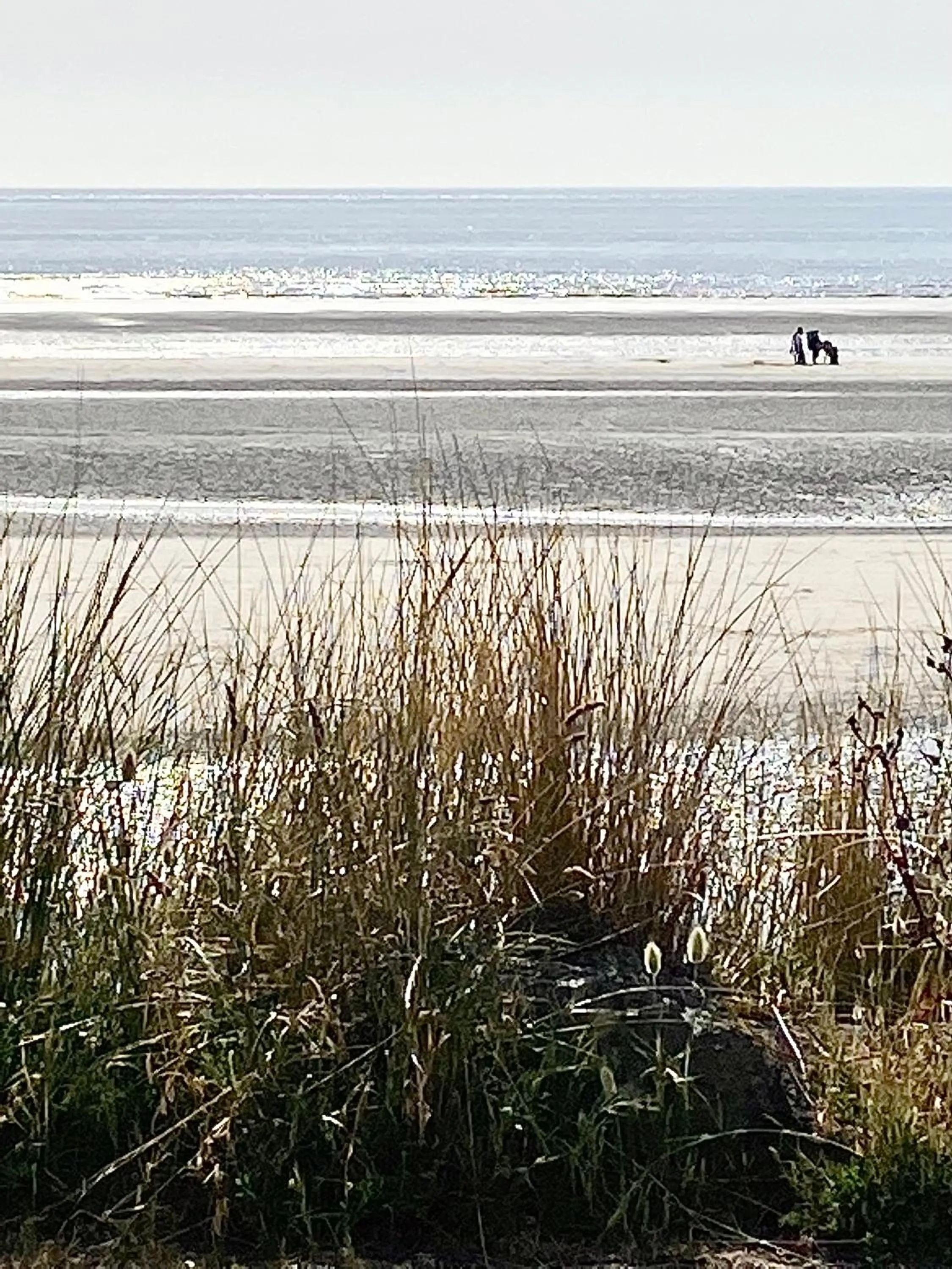 Natural landscape in Un matin de mai, Côte d'Opale
