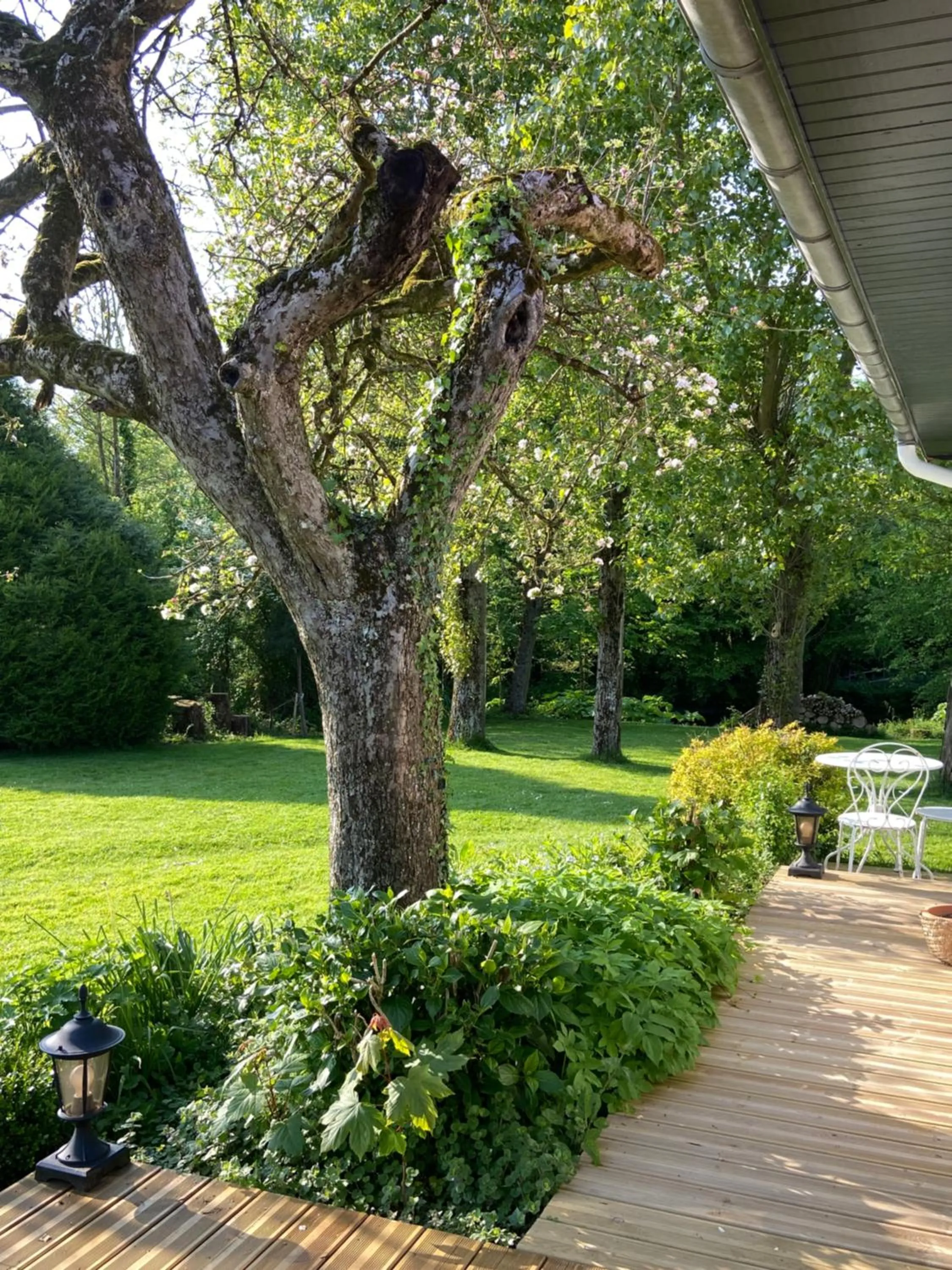 Natural landscape in Un matin de mai