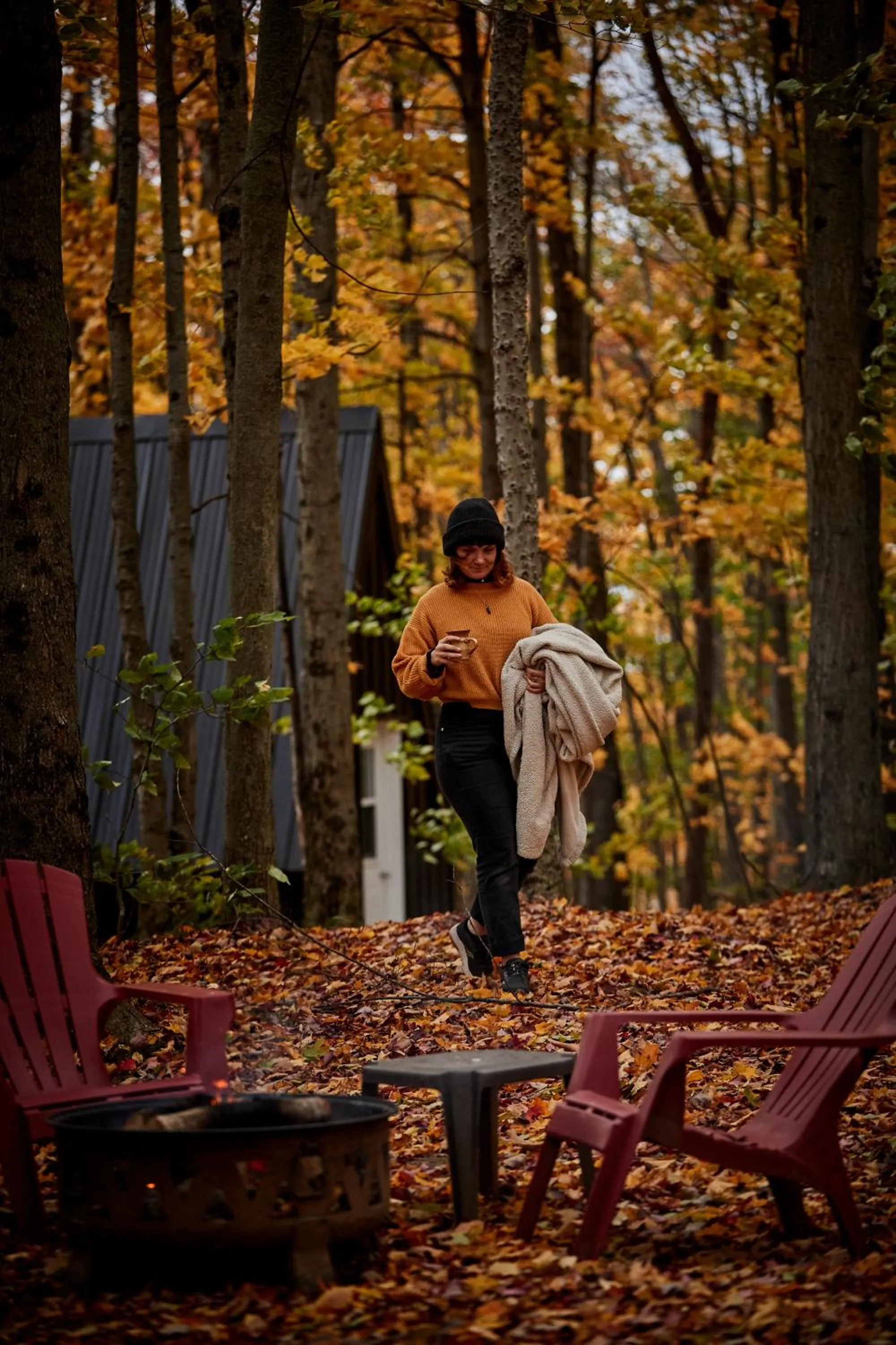 fireplace in Station Chene rouge