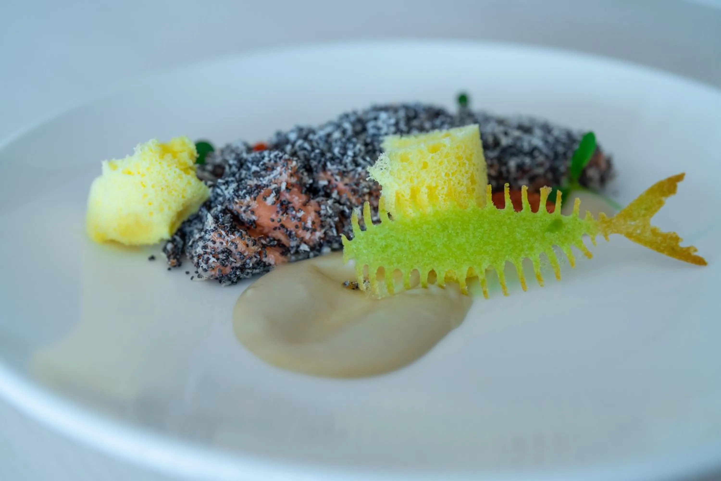 Food and drinks in Hotel Regina