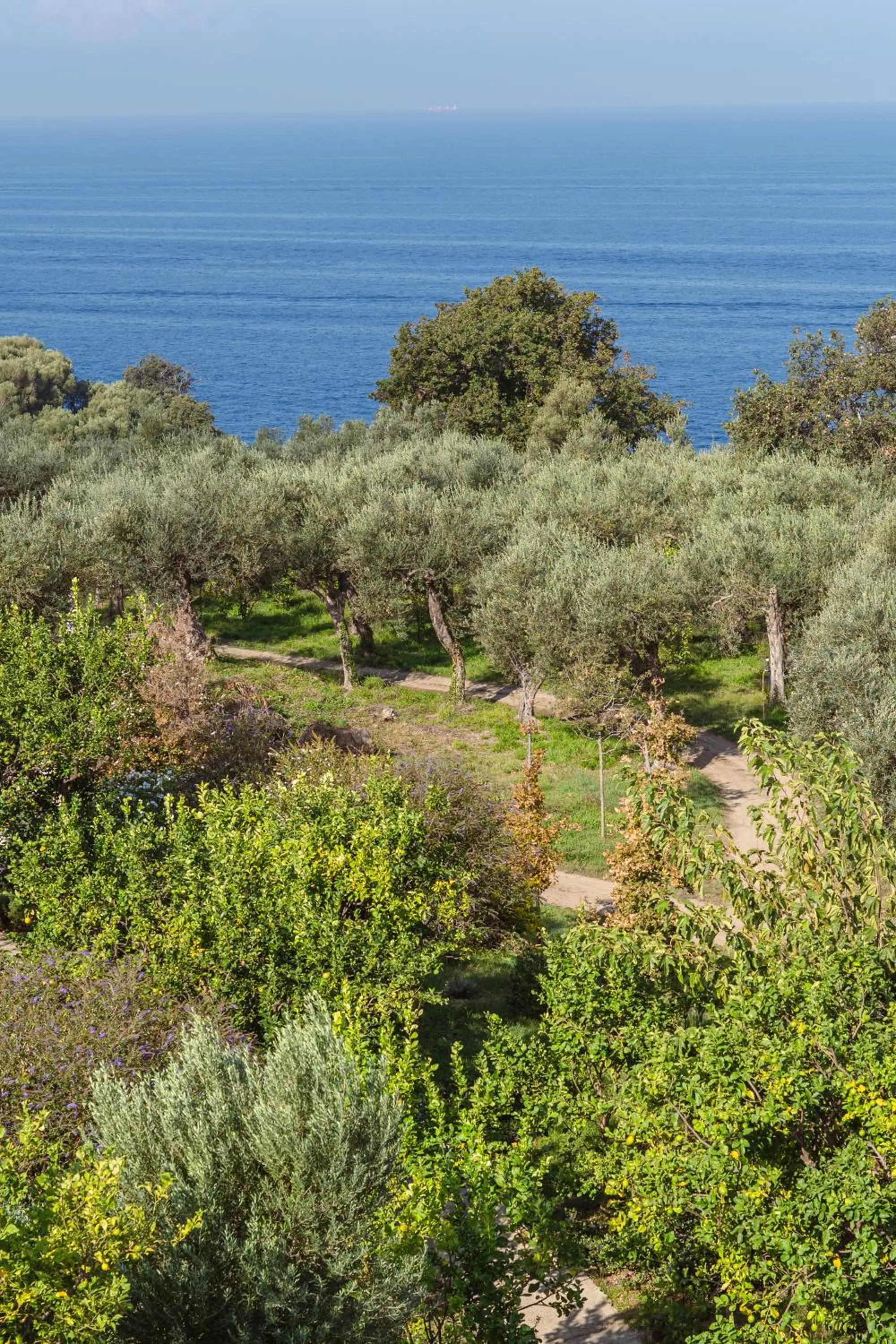 Garden in Relais Regina Giovanna
