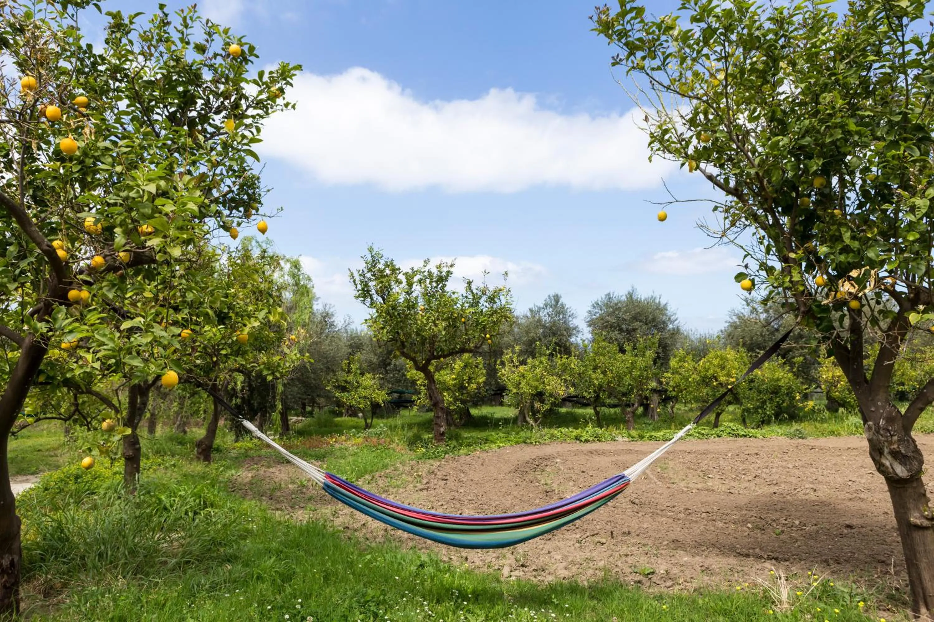 Day in Relais Regina Giovanna