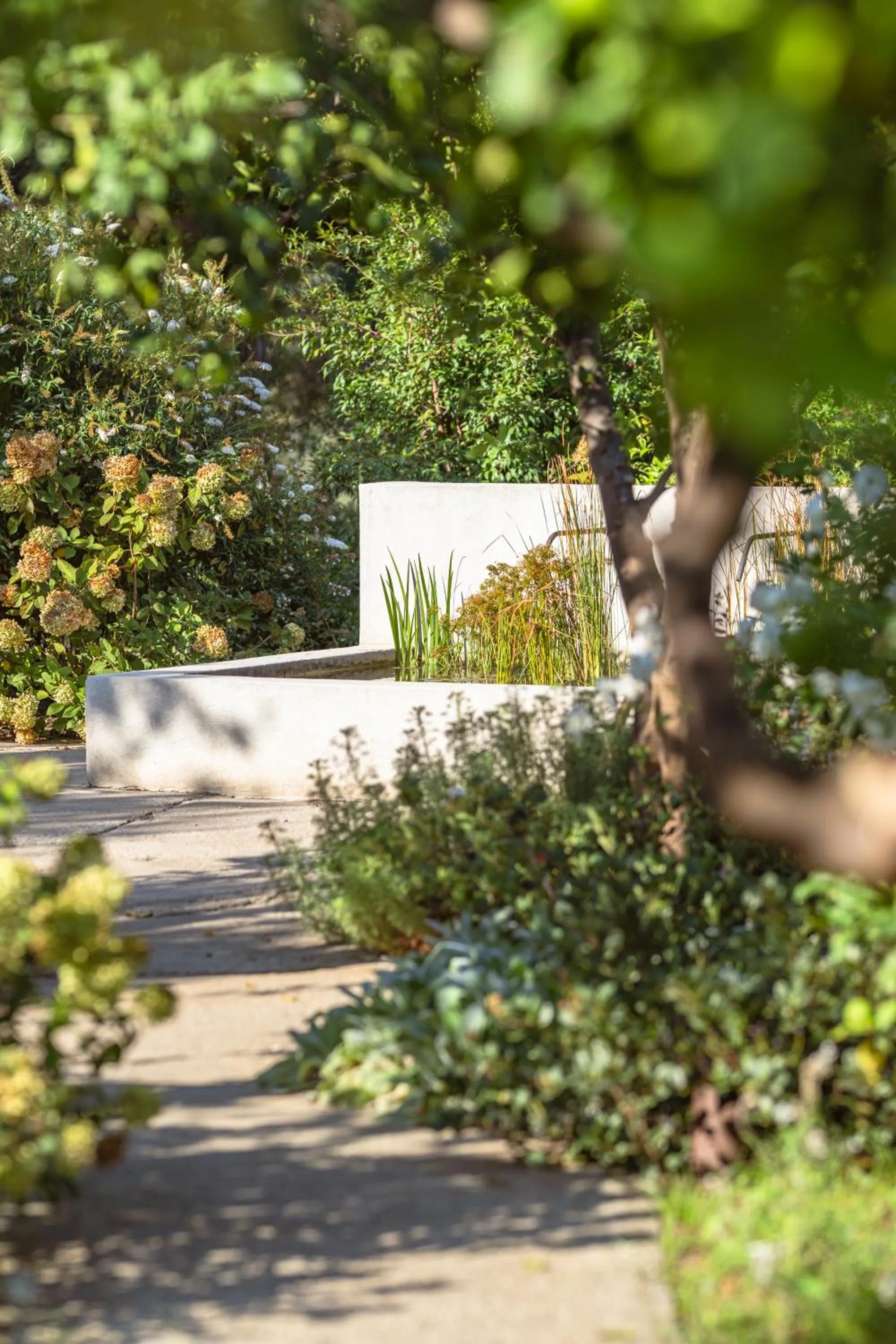 Garden in Relais Regina Giovanna