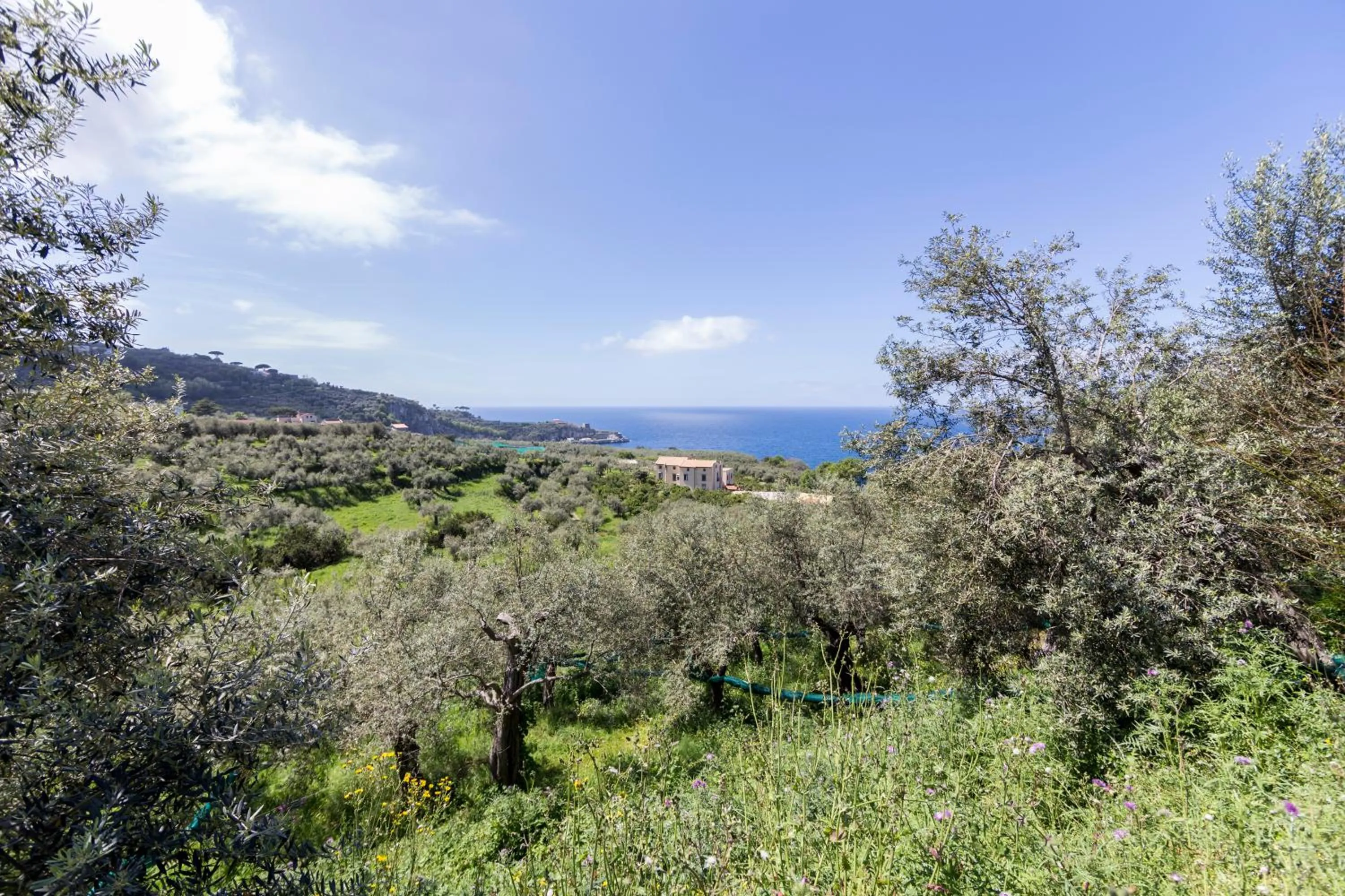 Garden in Relais Regina Giovanna