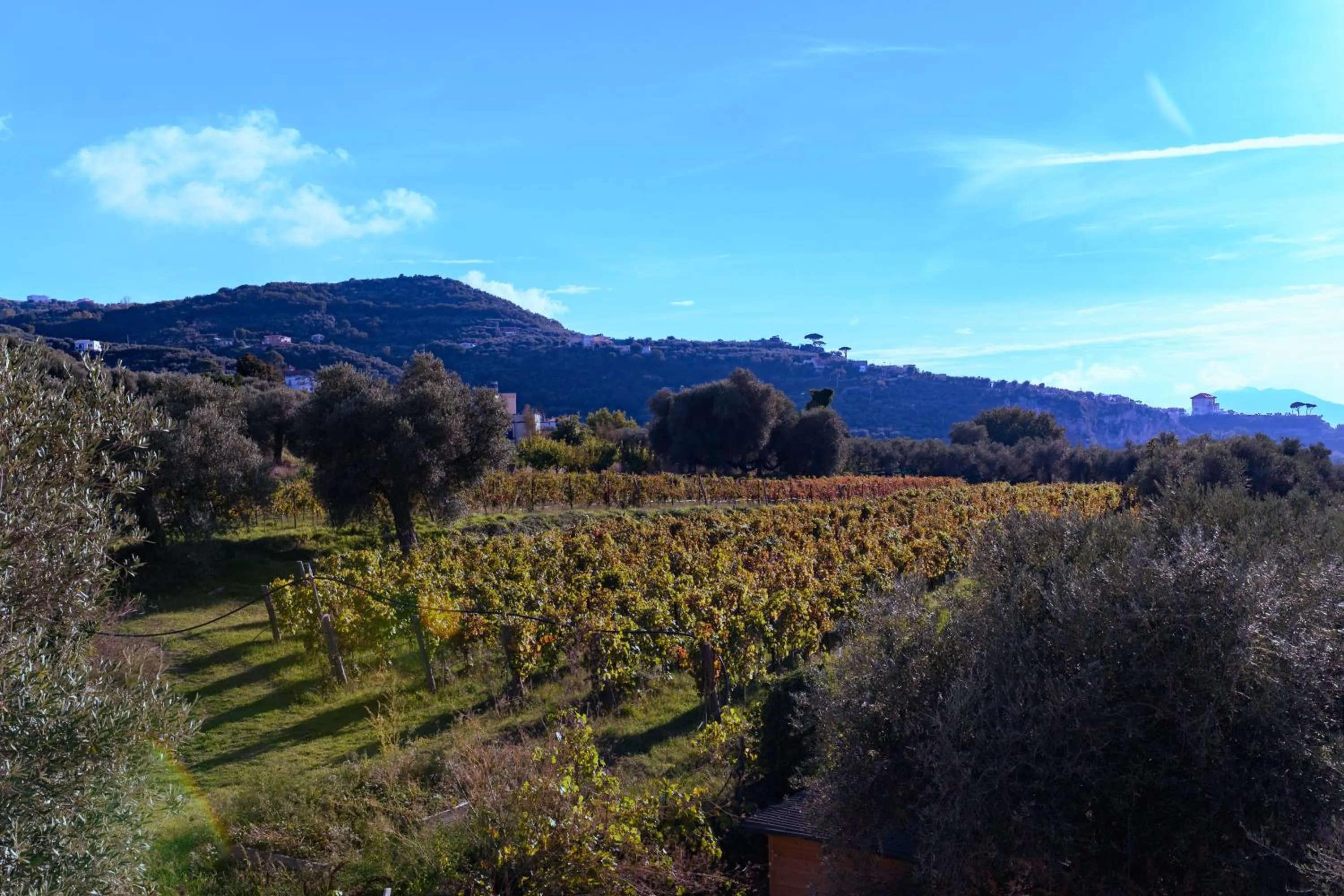 Property building in Relais Regina Giovanna