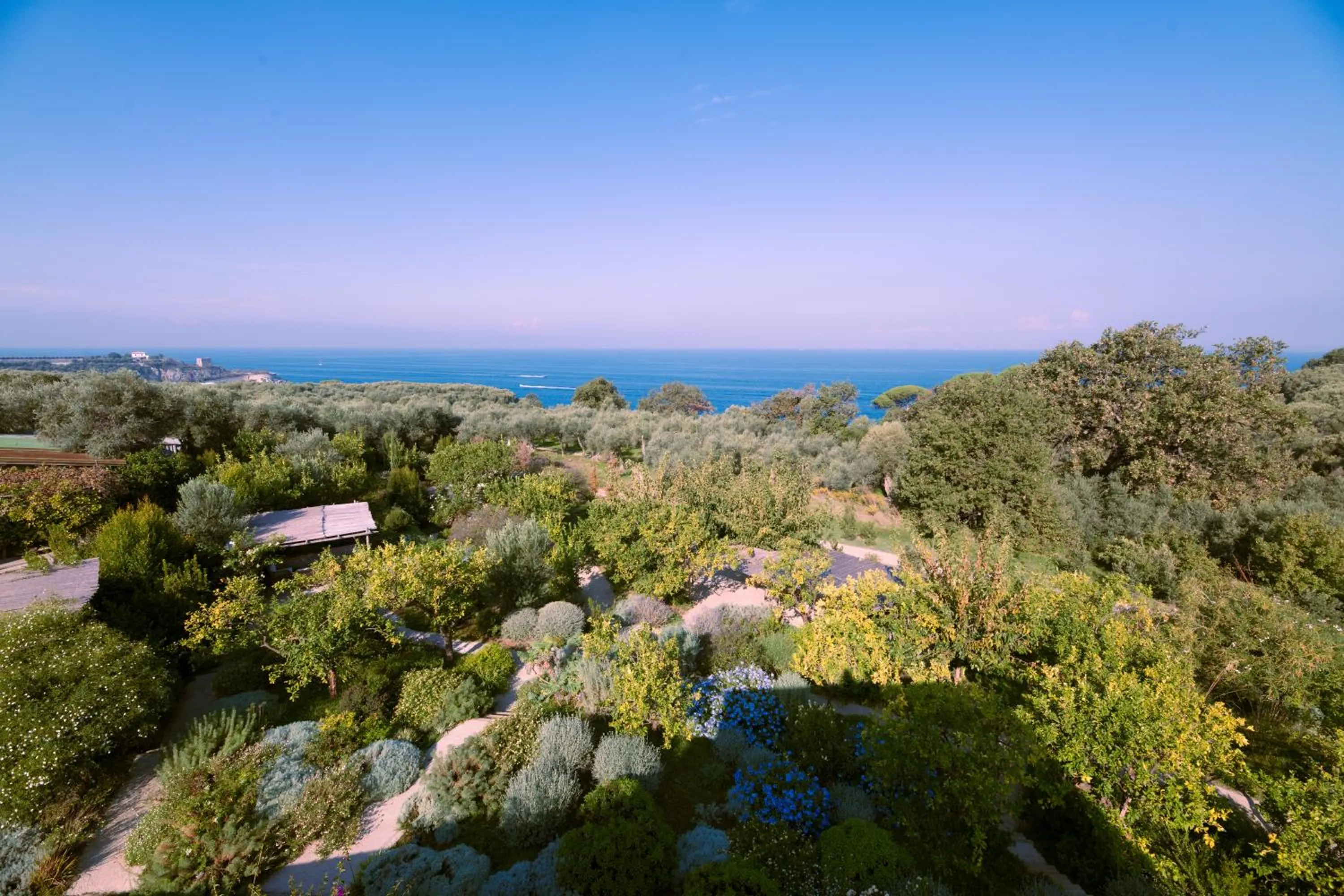 Garden in Relais Regina Giovanna