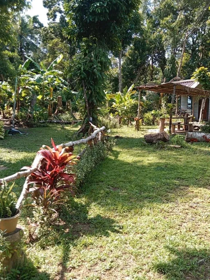 Garden in Green Garden Bungalows