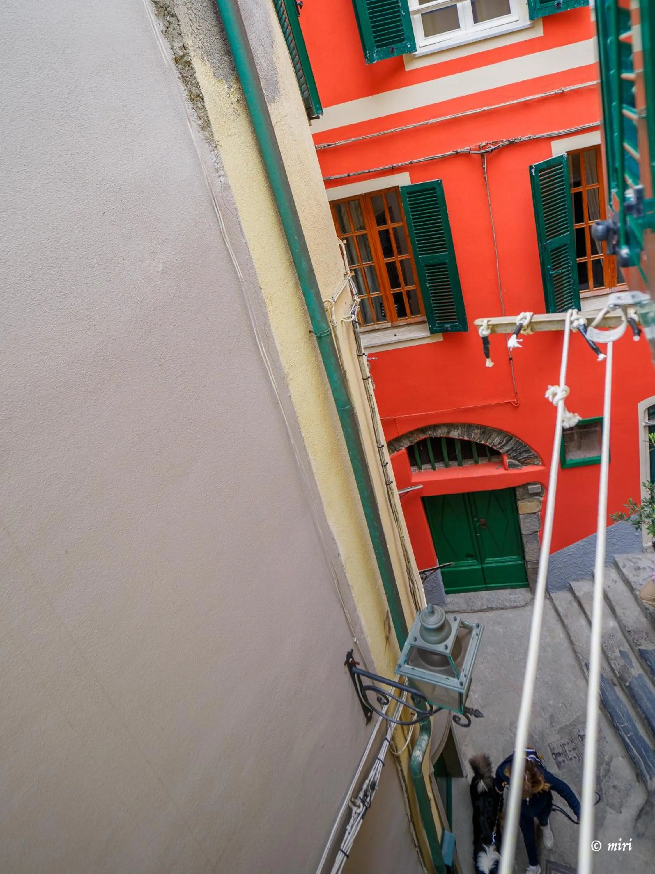 View (from property/room) in Carmelina Tiny Village Room