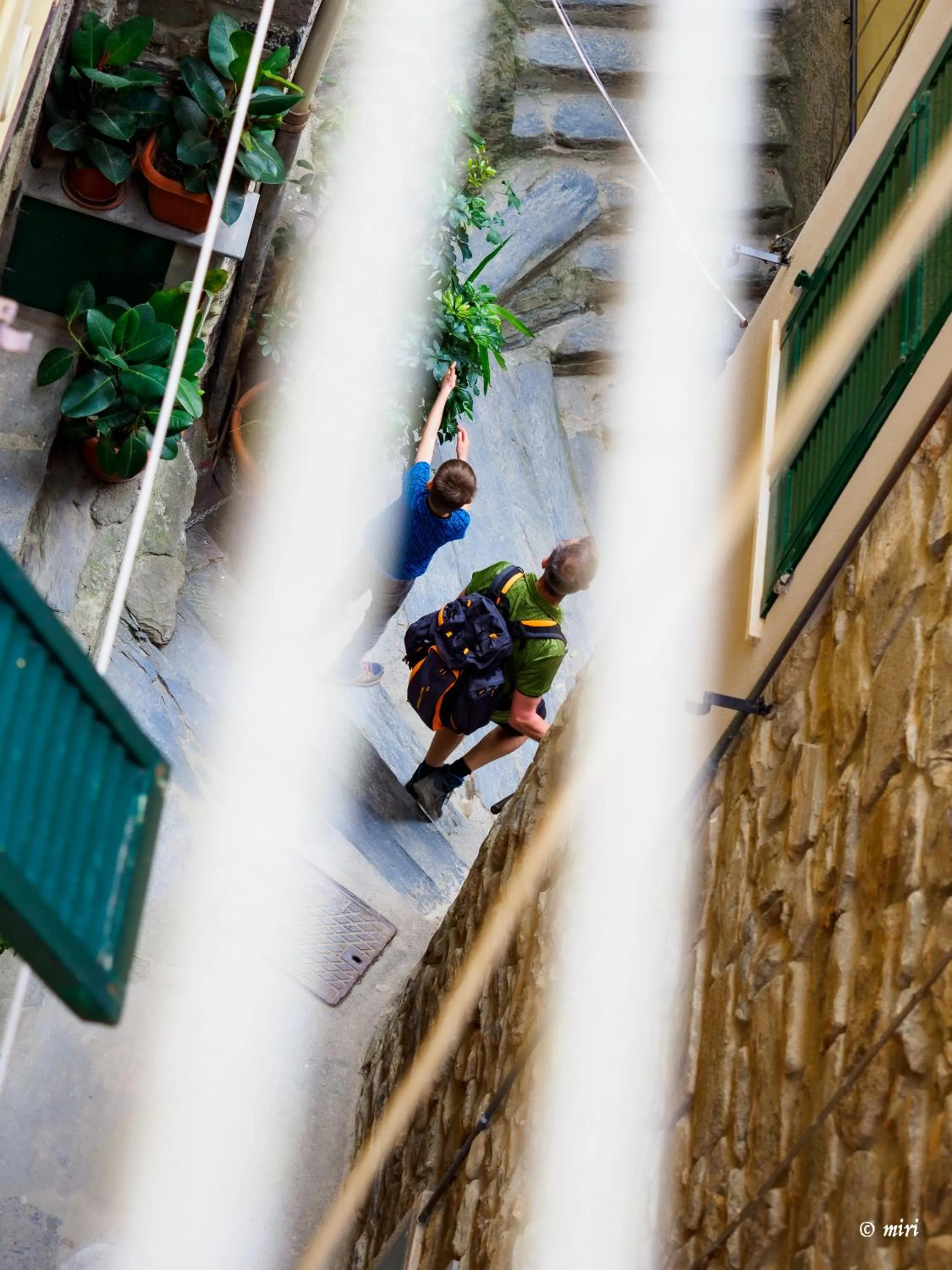 View (from property/room) in Carmelina Tiny Village Room