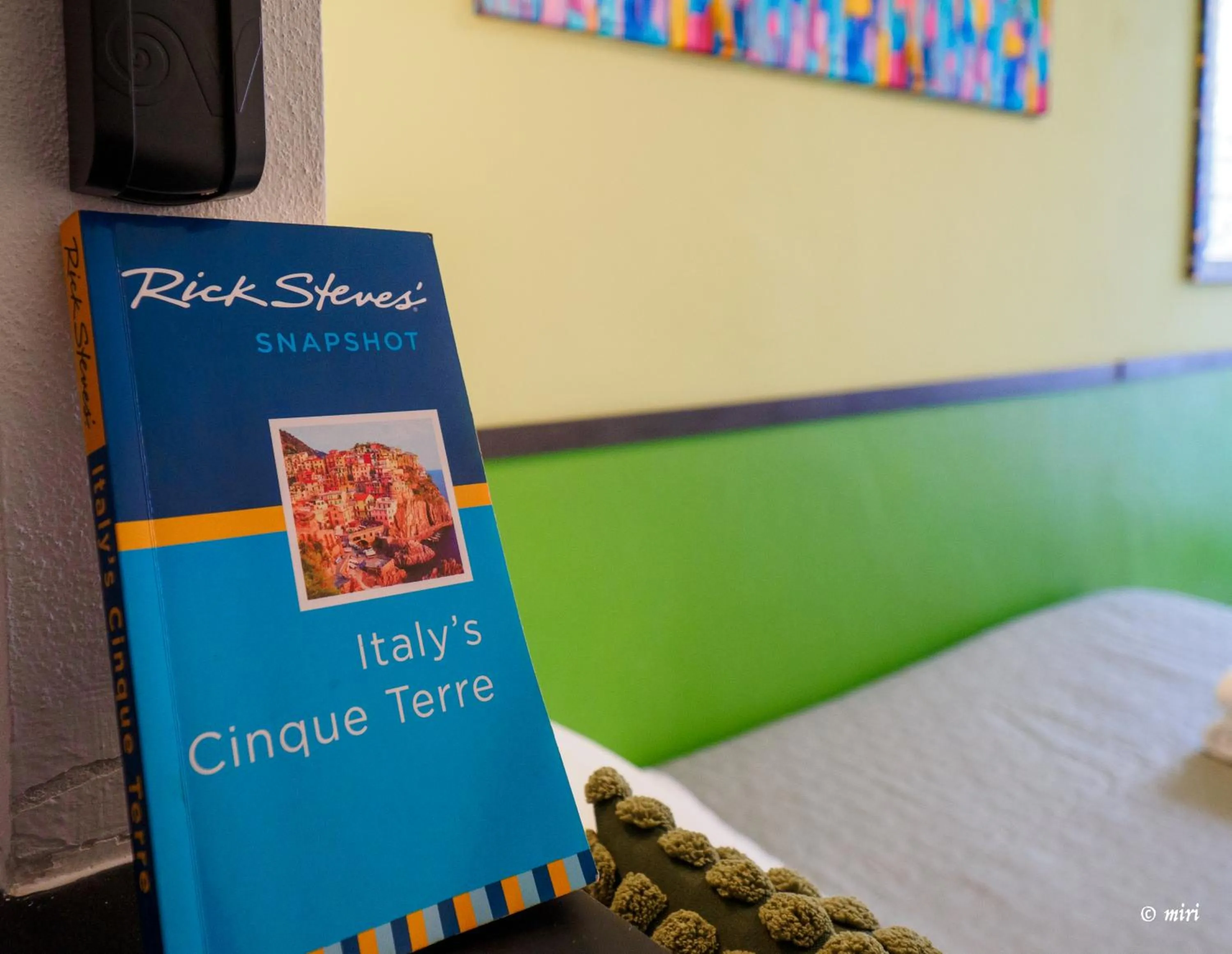 Text overlay in Carmelina Tiny Village Room