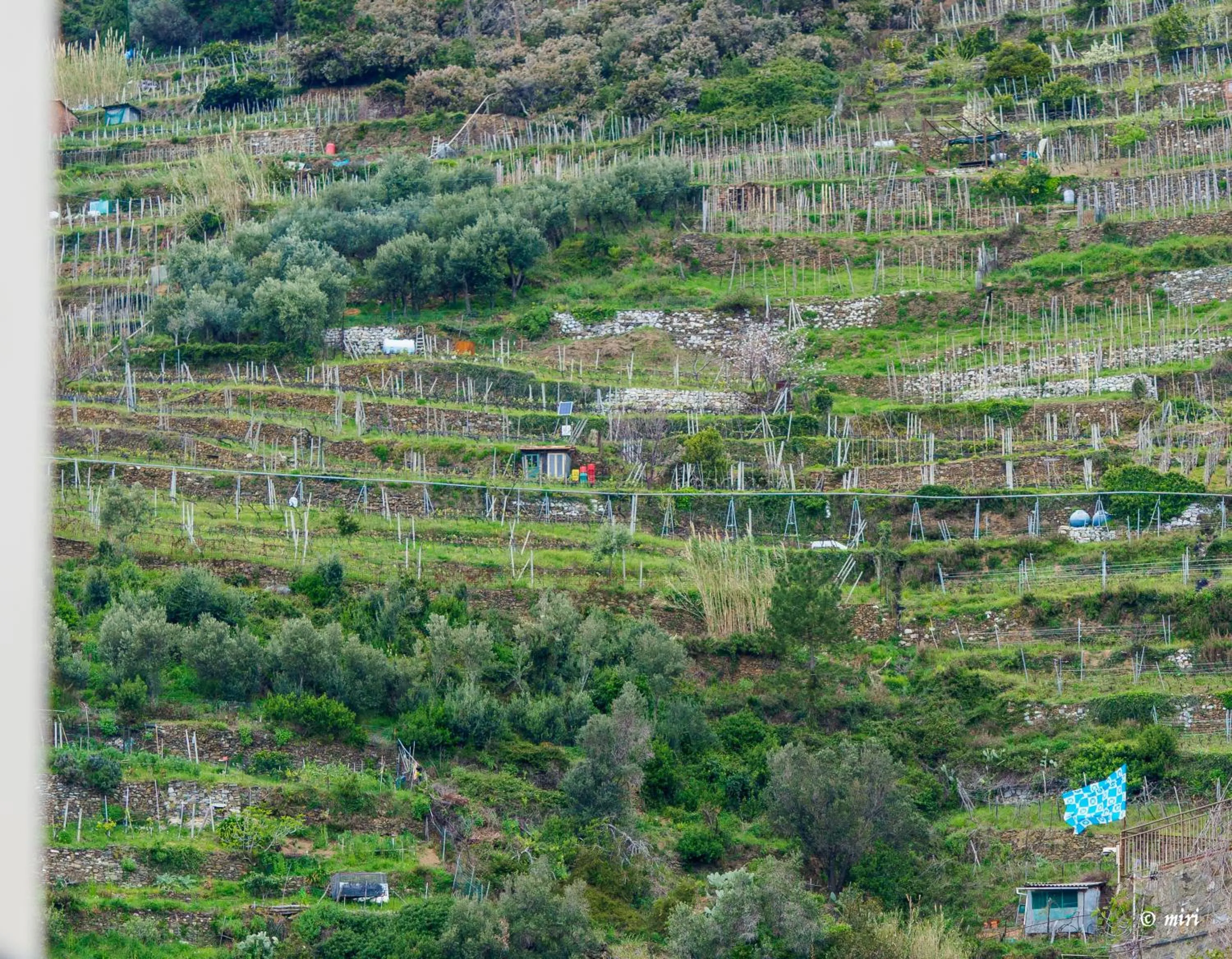 Mountain view in Carmelina Tiny Village Room
