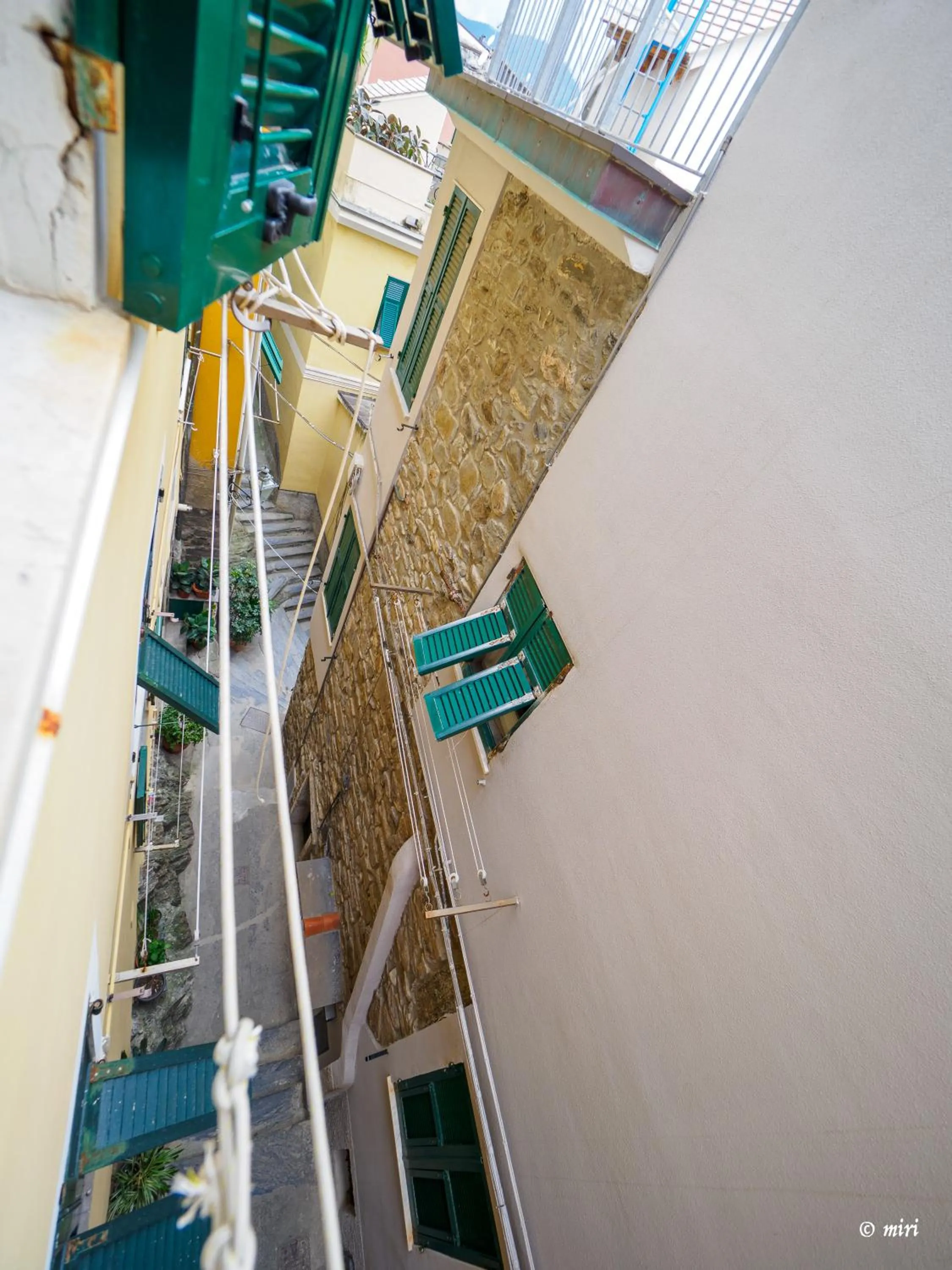 View (from property/room) in Carmelina Tiny Village Room