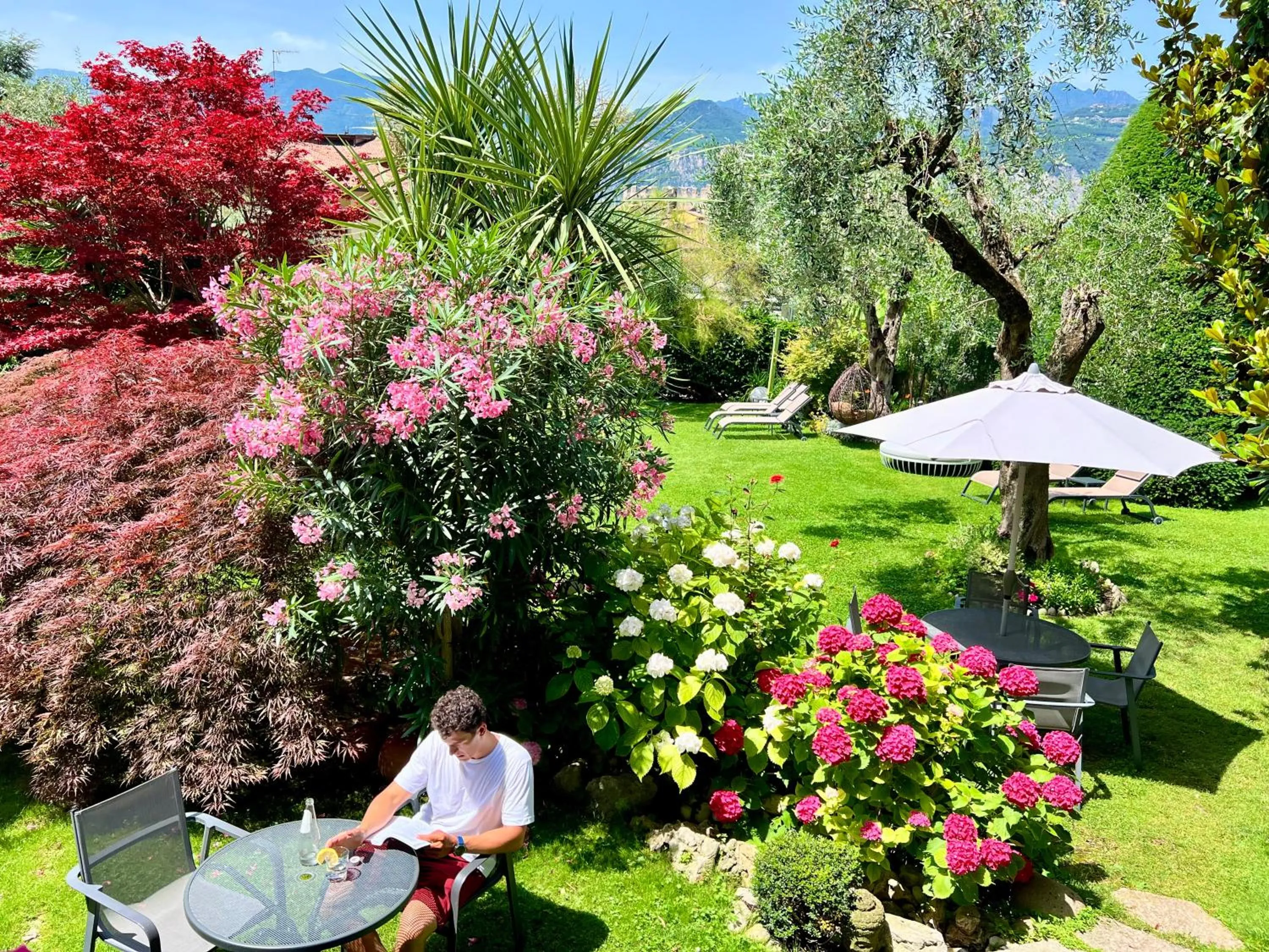 Garden in Eco Hotel Ariston