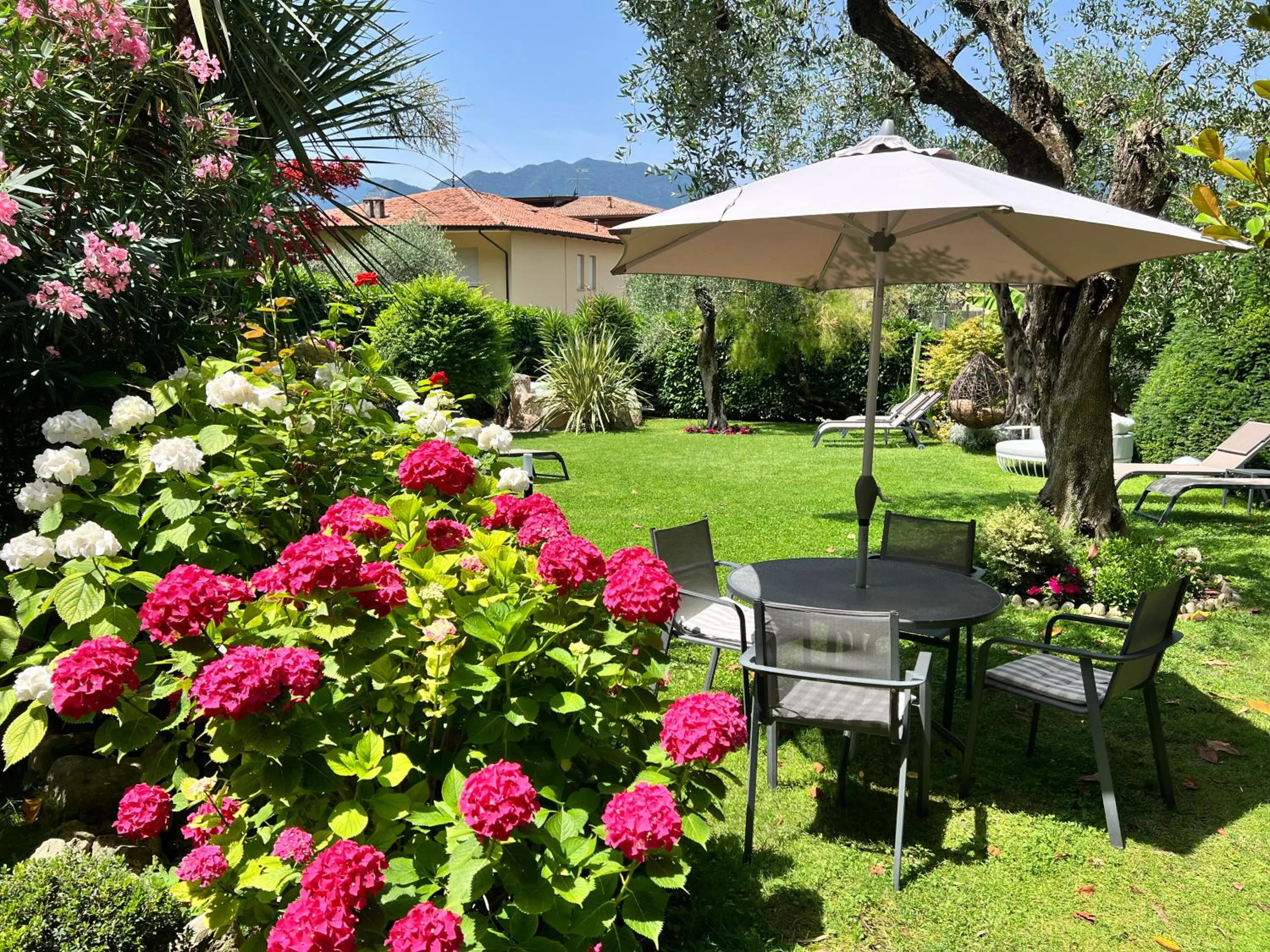 Garden in Eco Hotel Ariston