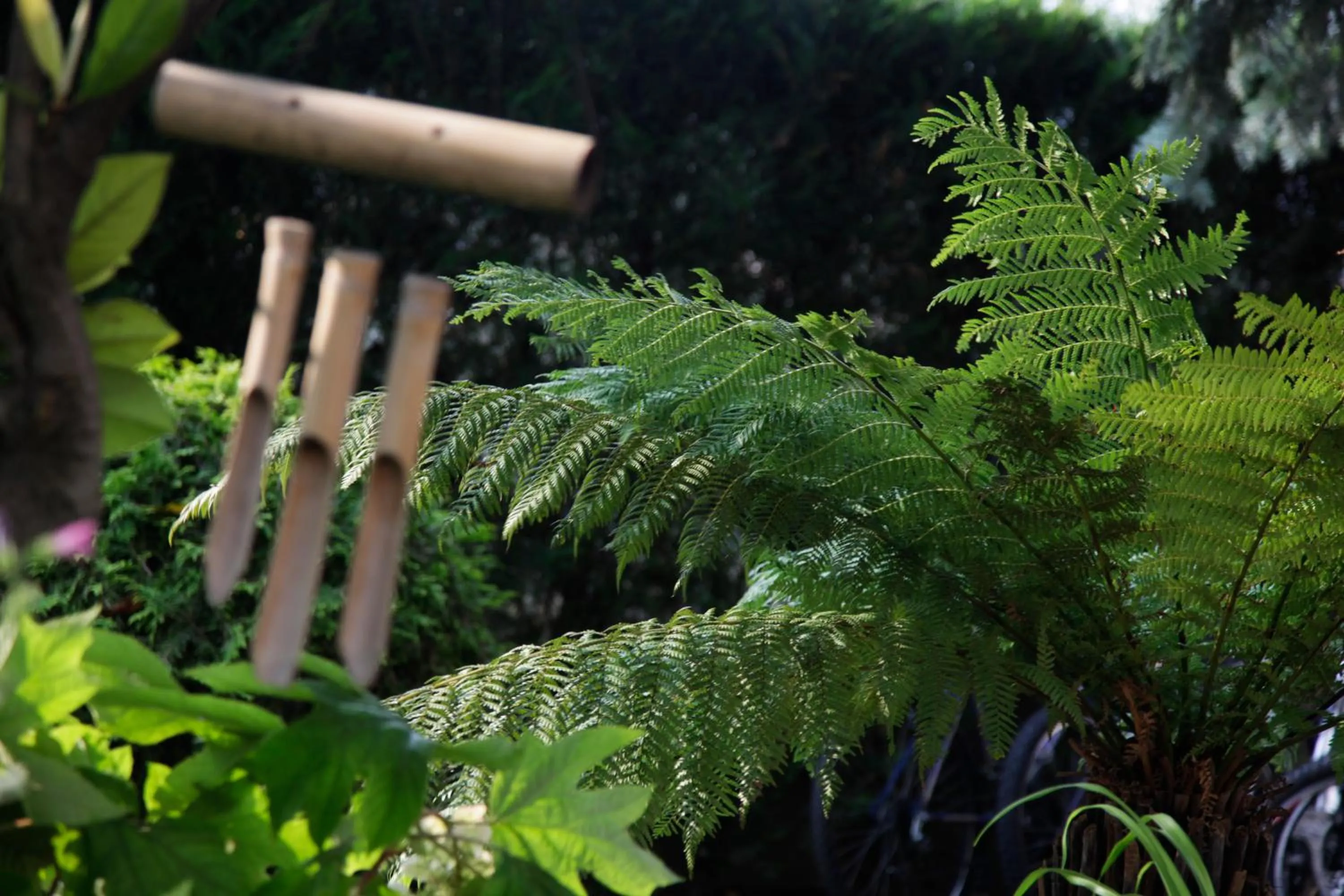 Garden in Eco Hotel Ariston