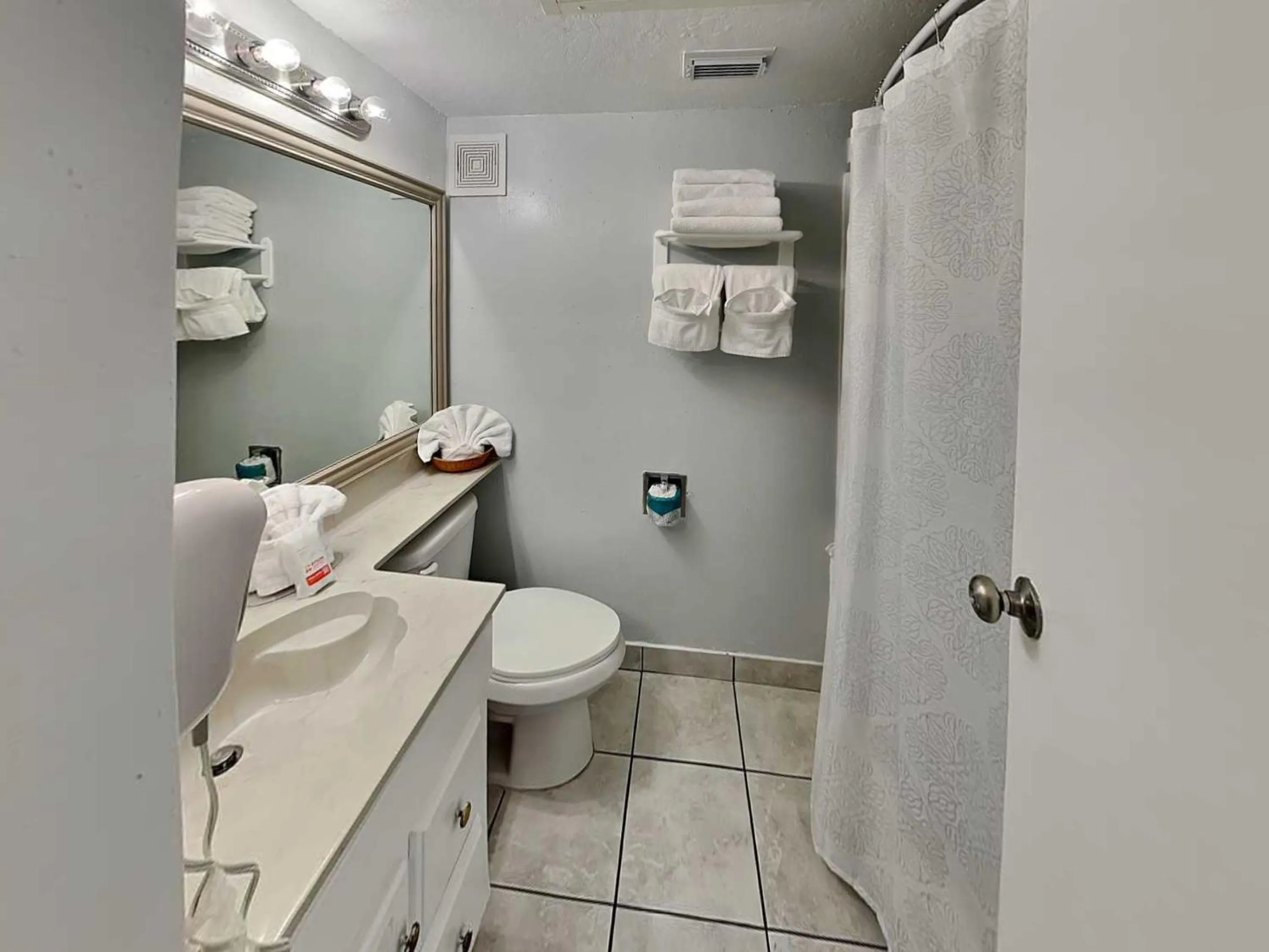 Toilet in Victorian 3112-All for Fun