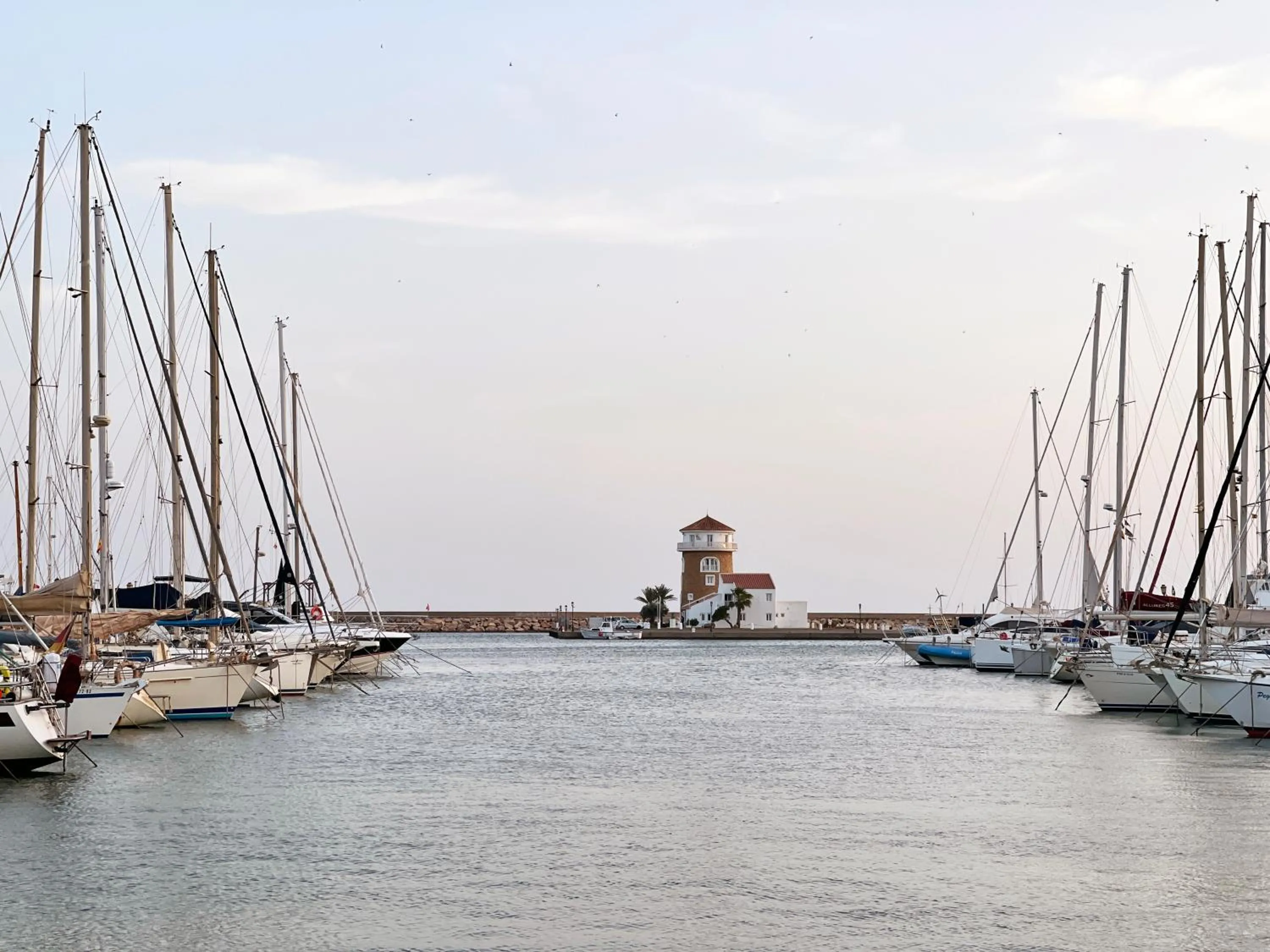 Street view in Apartamentos Moon Dreams Almerimar