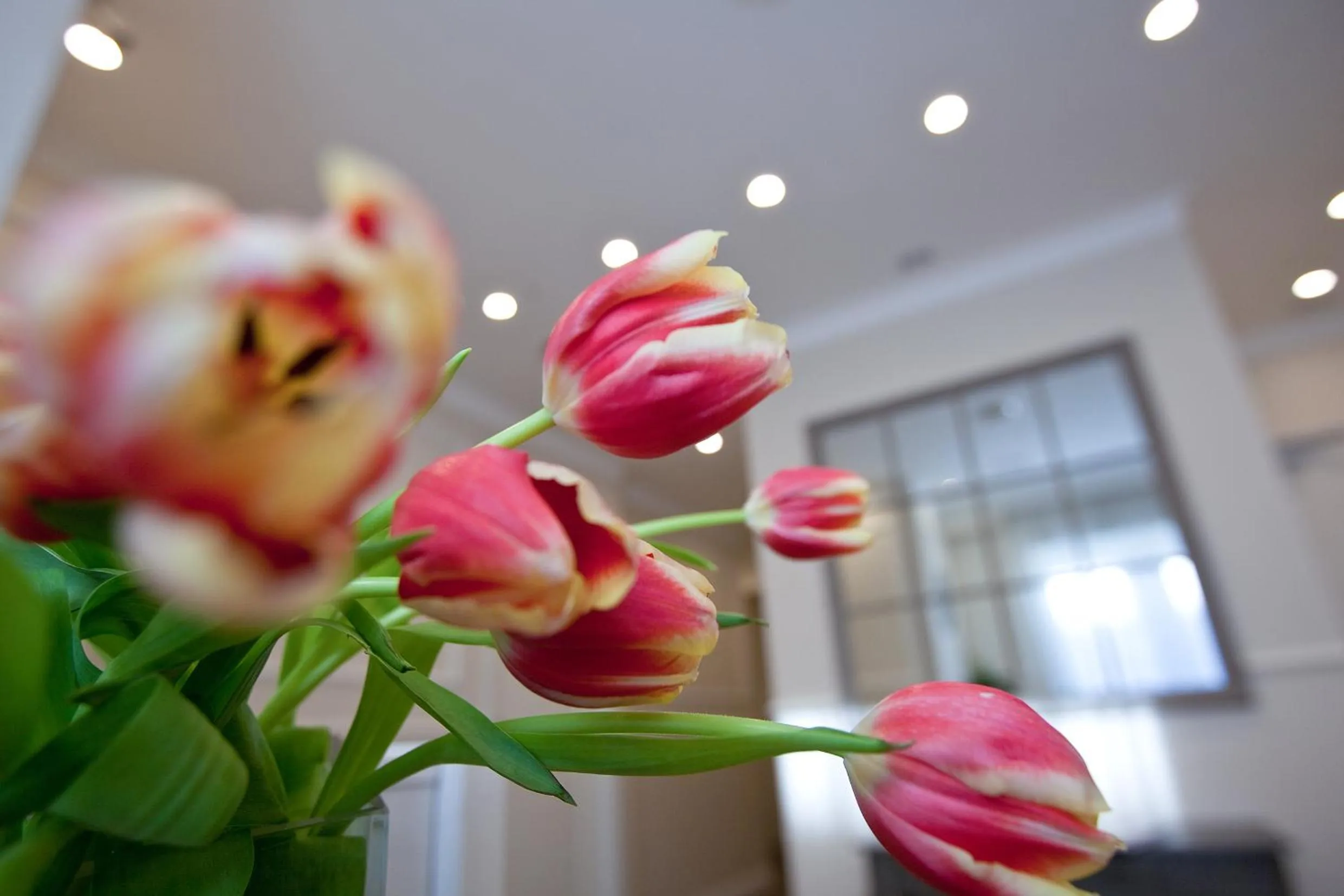 Other in Seven Suites