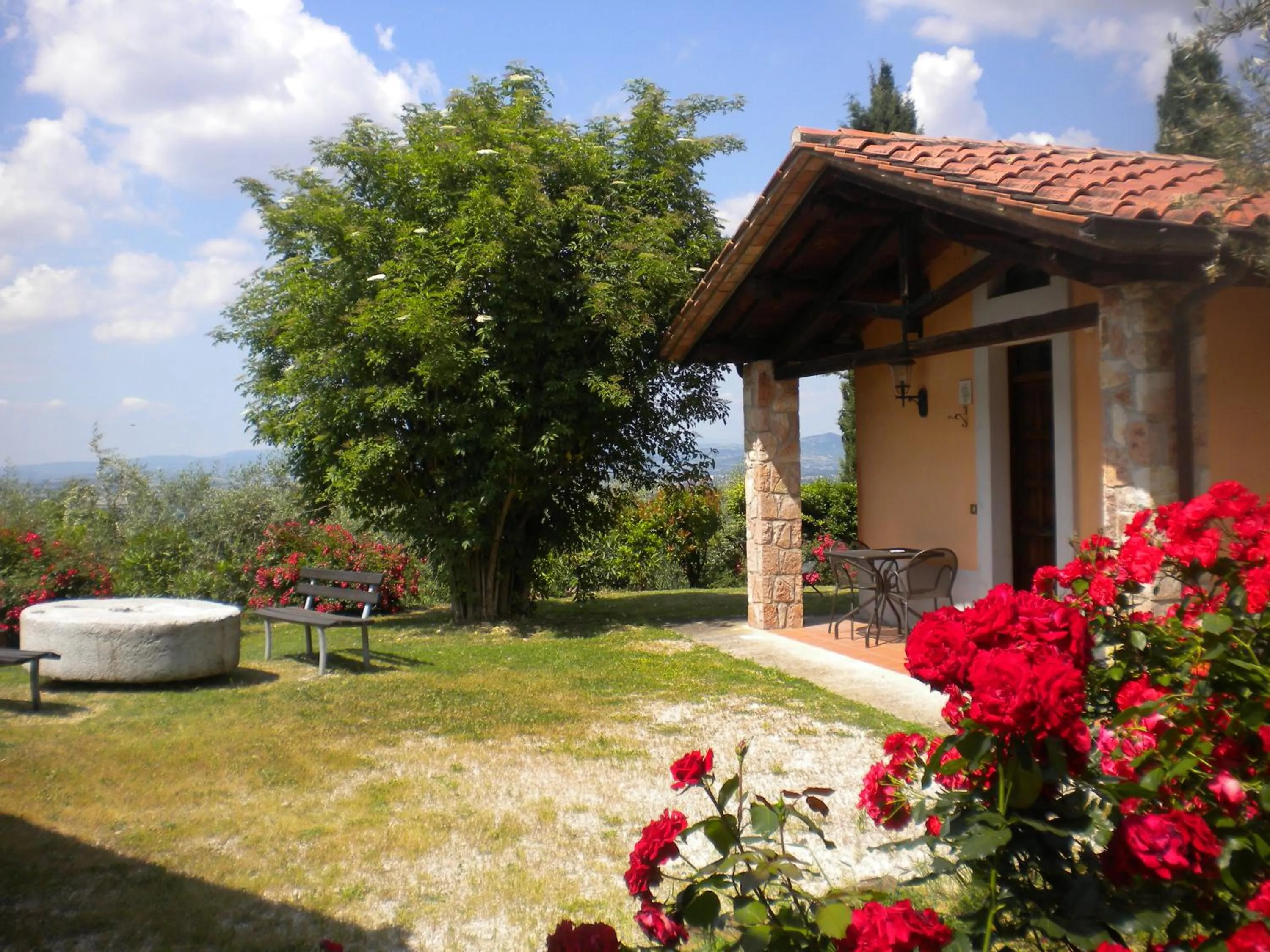 Patio in Il Poggio degli Olivi