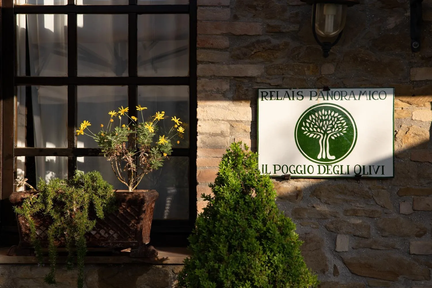 Facade/entrance in Il Poggio degli Olivi