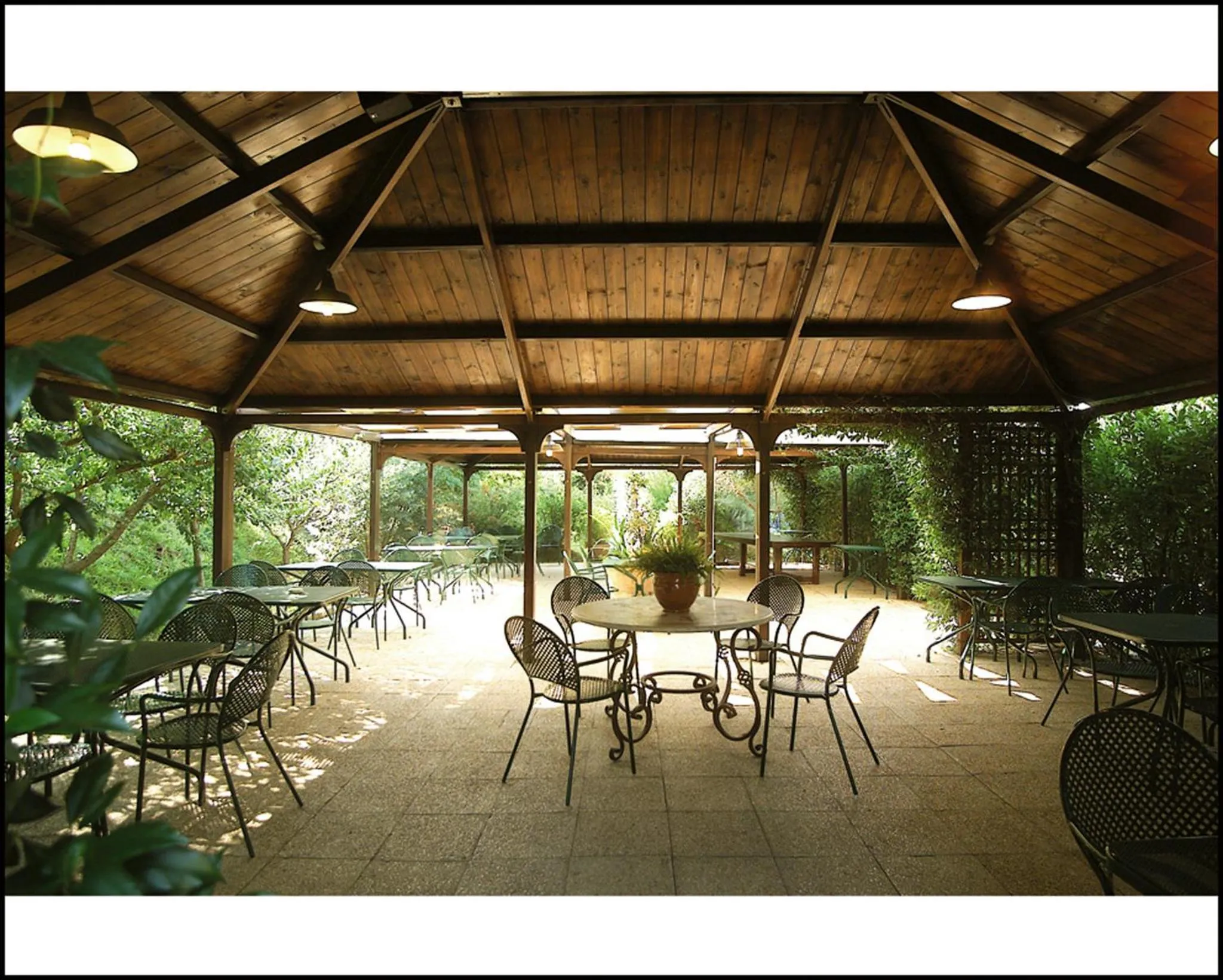 Garden in Il Poggio degli Olivi