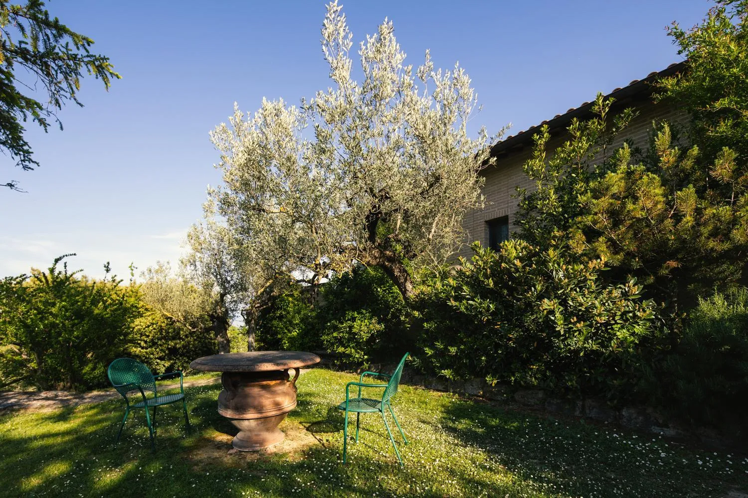 Garden in Il Poggio degli Olivi