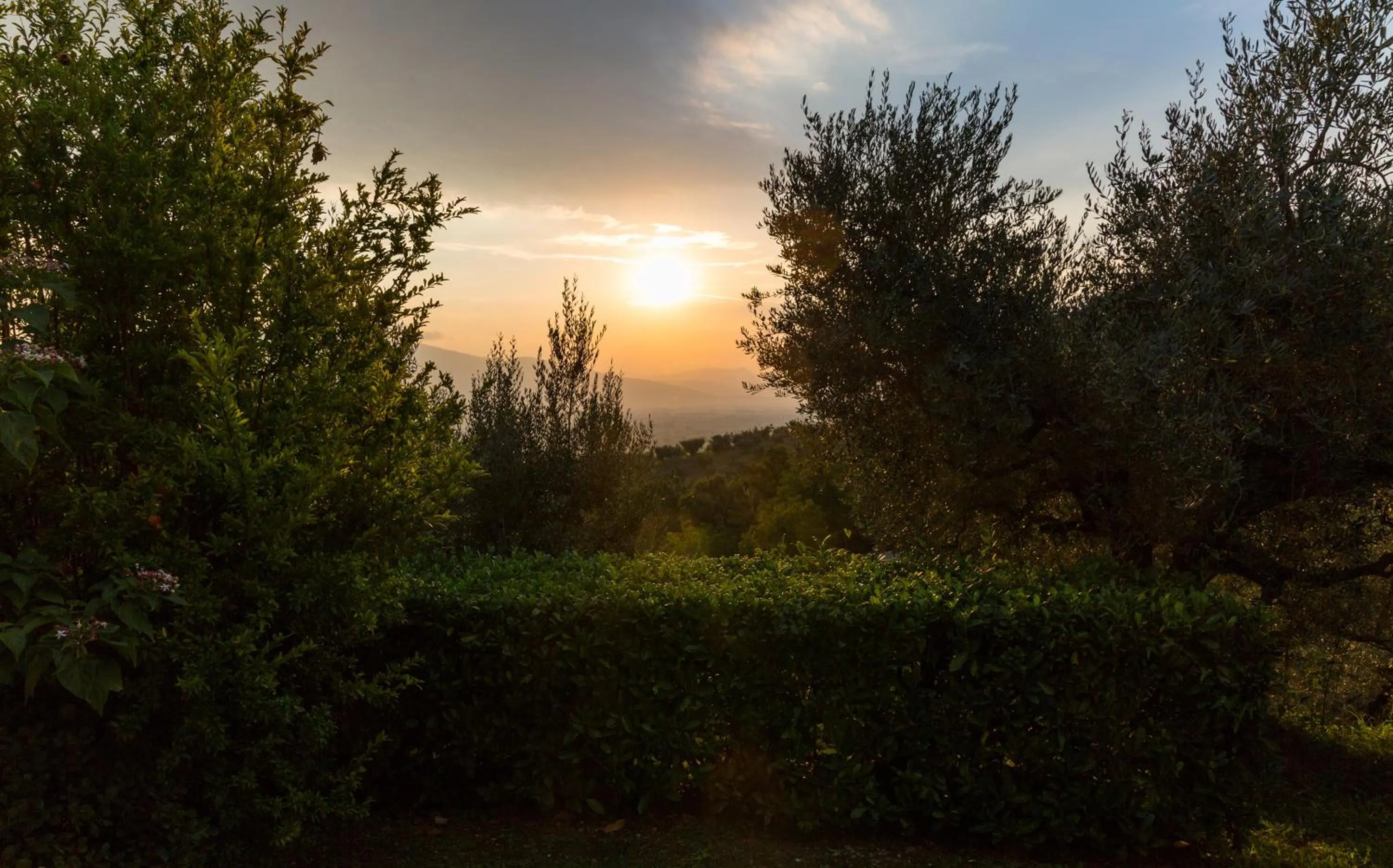 Natural landscape in Il Poggio degli Olivi