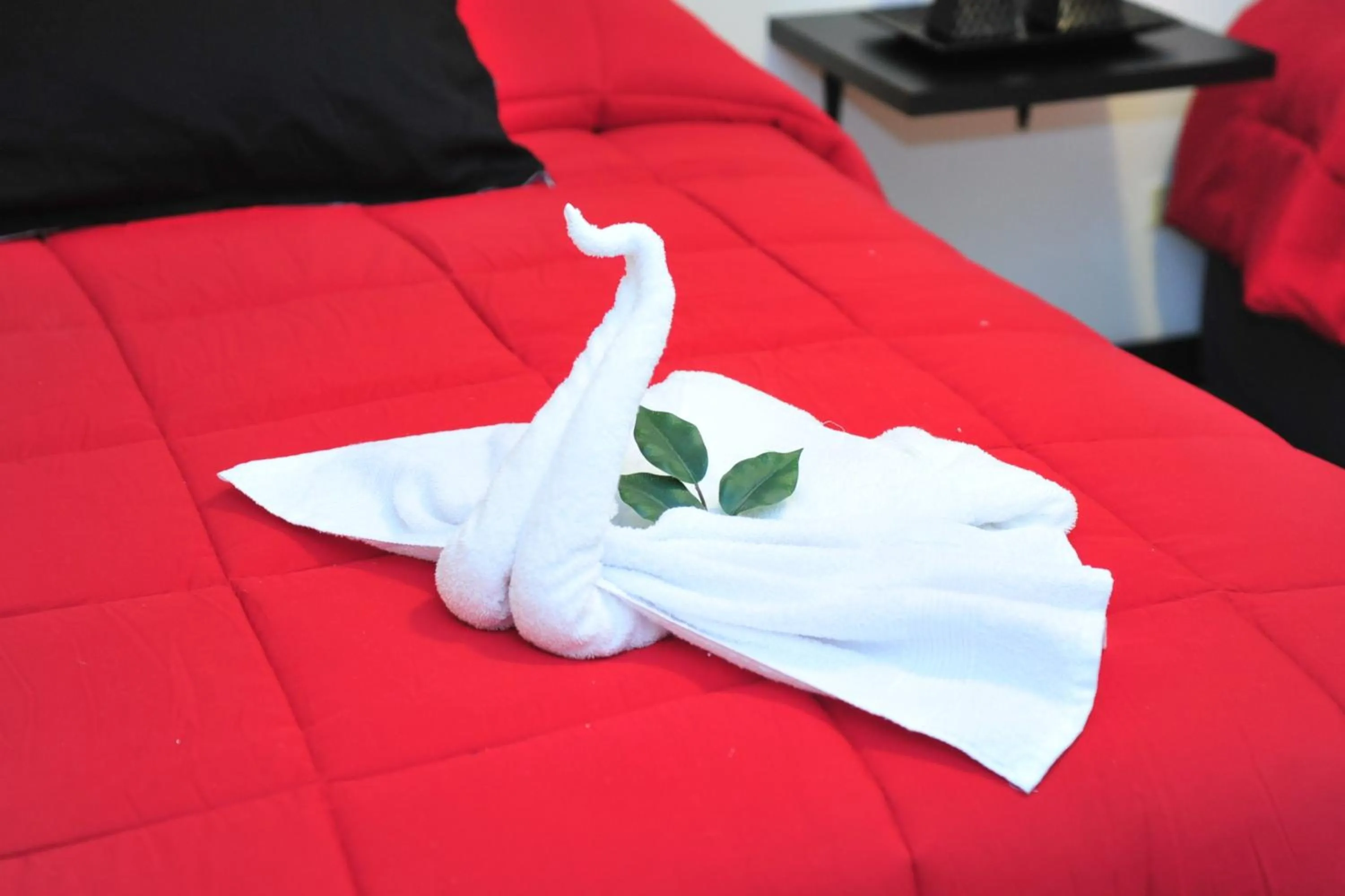 Single Room in G y V Hotels