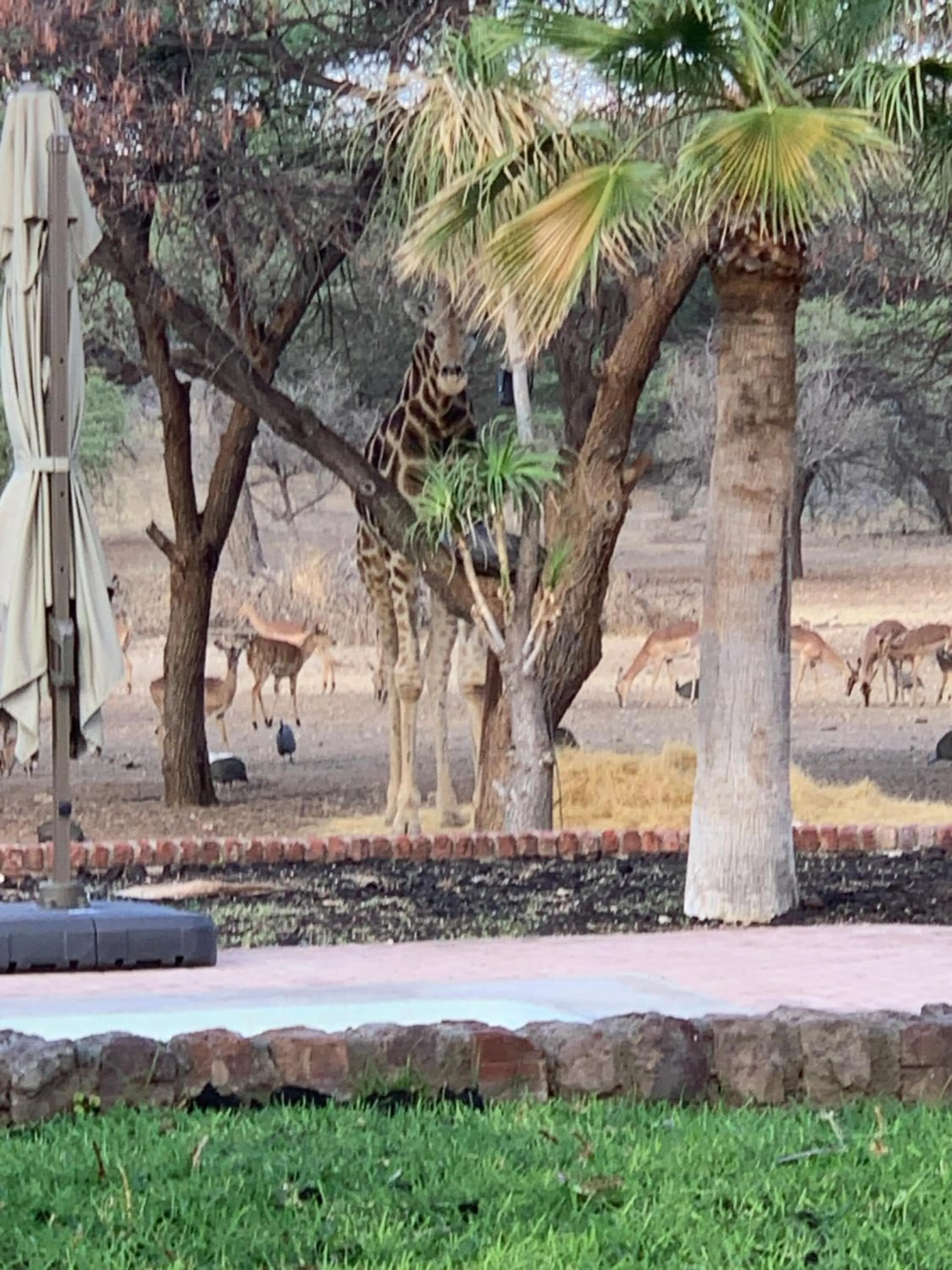 Day in Otjibamba Lodge