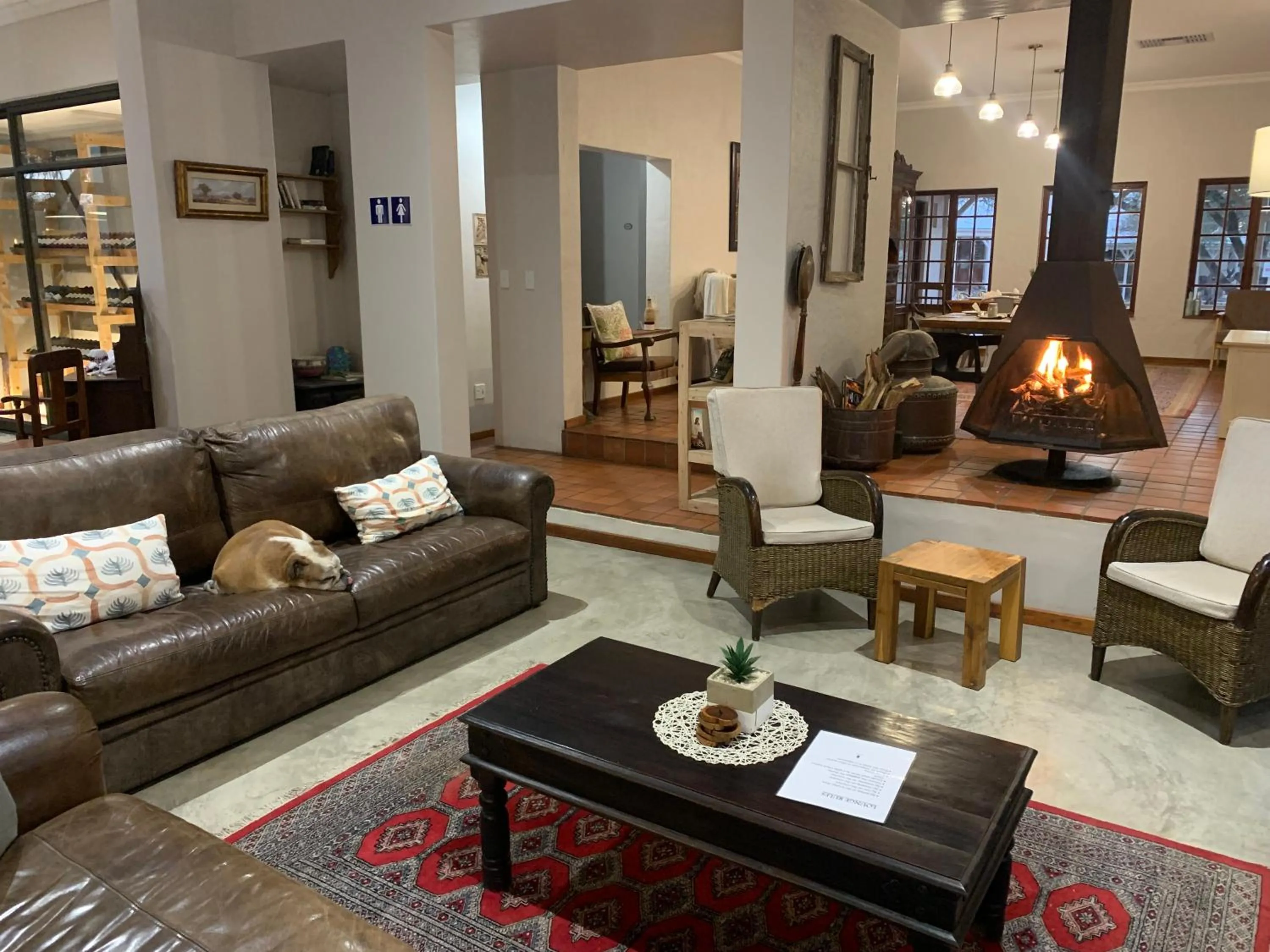 Lounge or bar in Otjibamba Lodge
