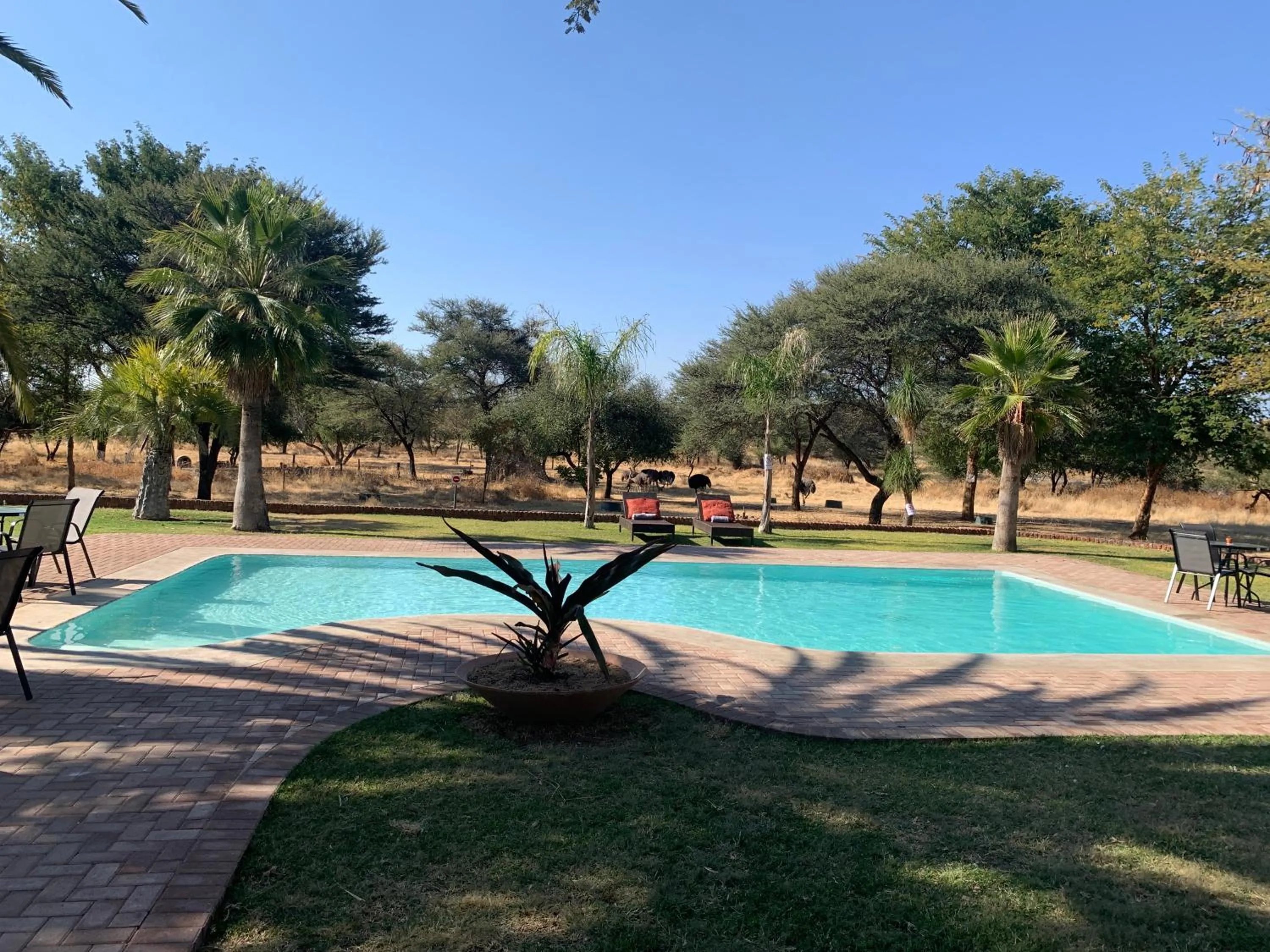 Pool view in Otjibamba Lodge