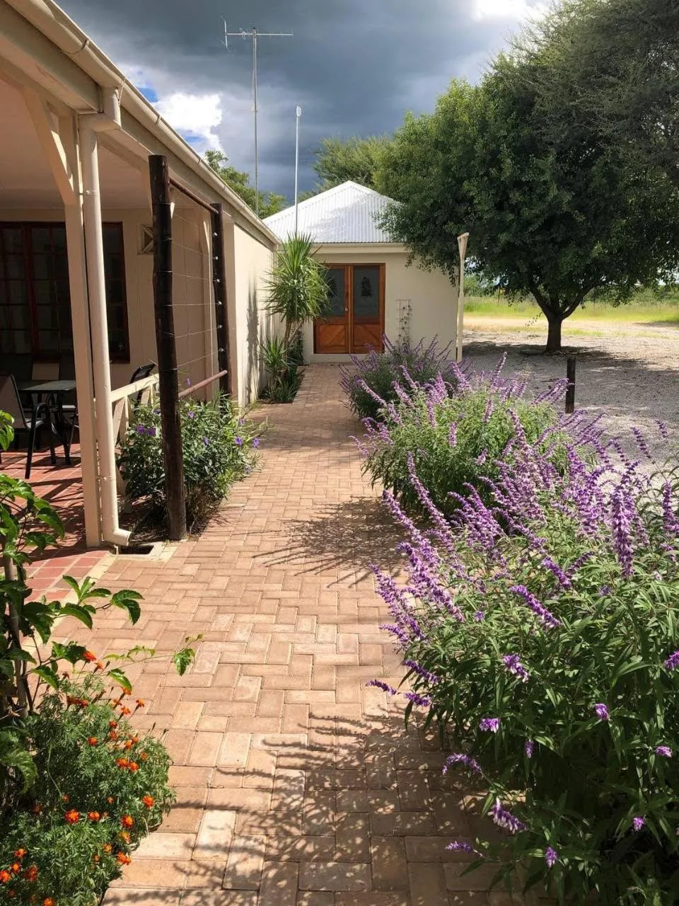 Property building in Otjibamba Lodge