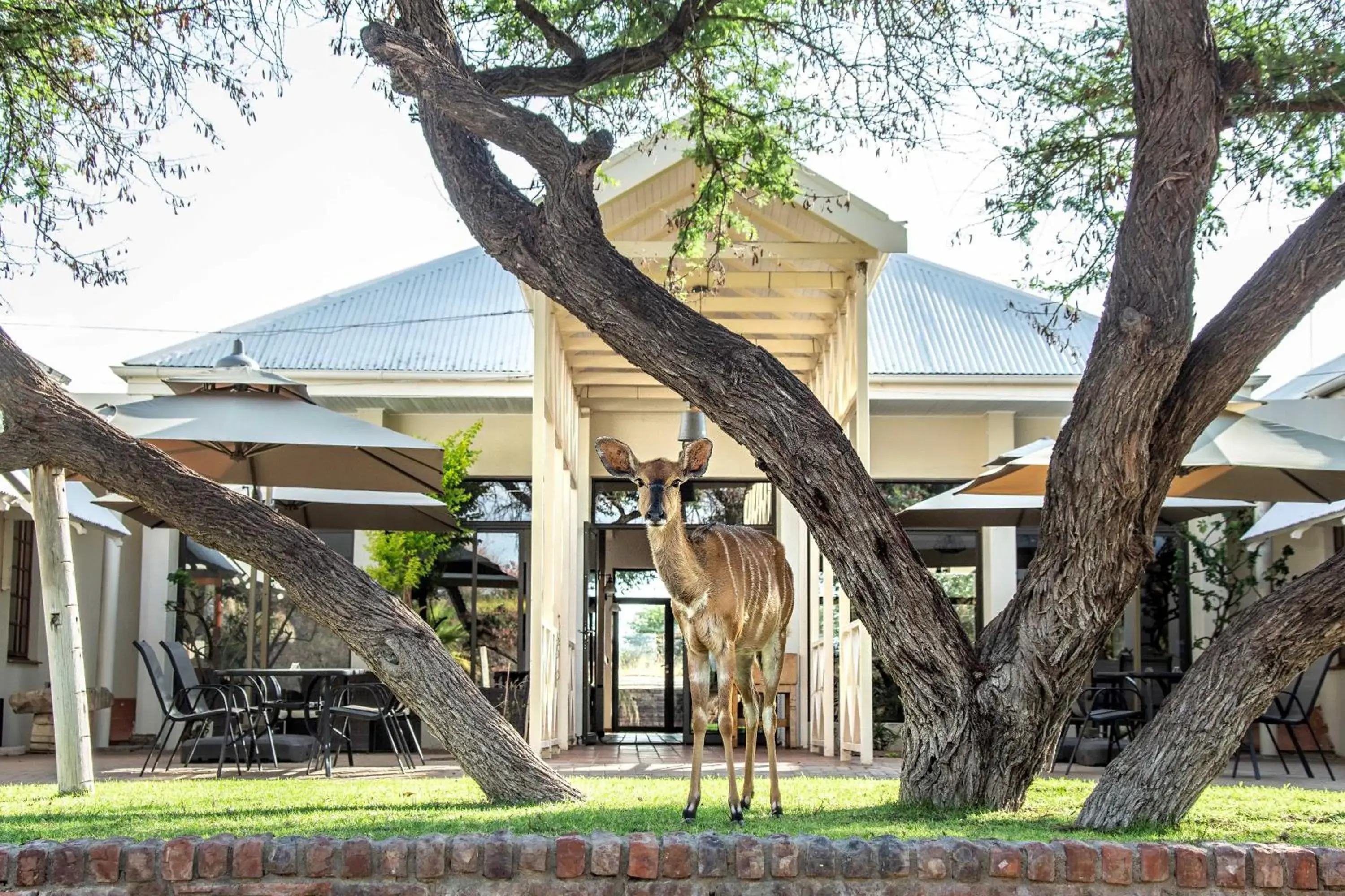 Otjibamba Lodge Otjibamba Lodge